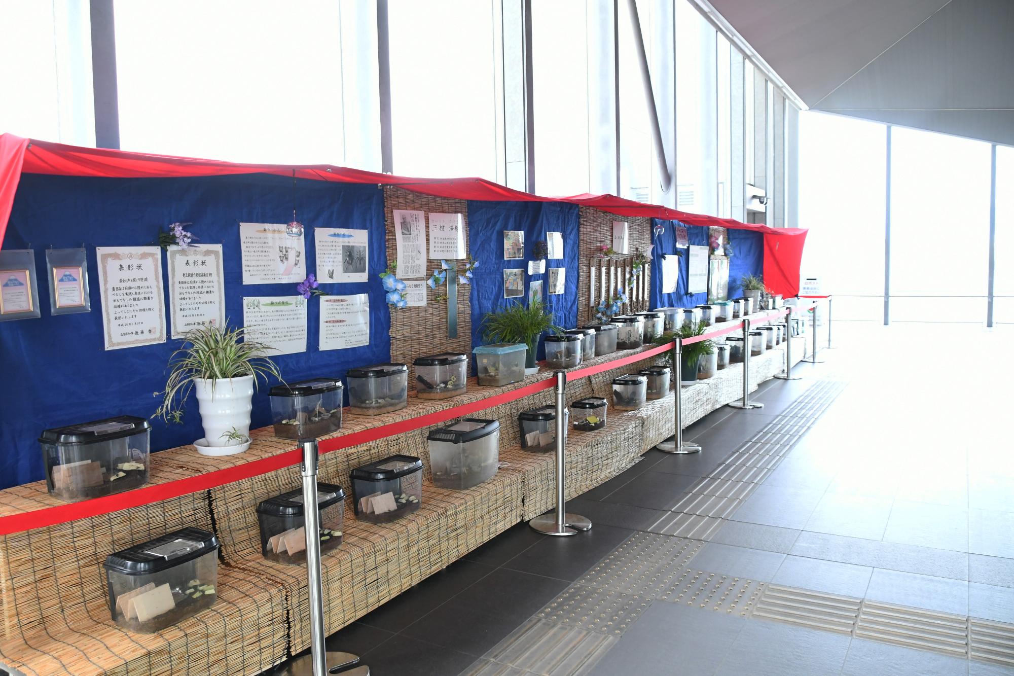 鈴虫の声を聴く甲斐