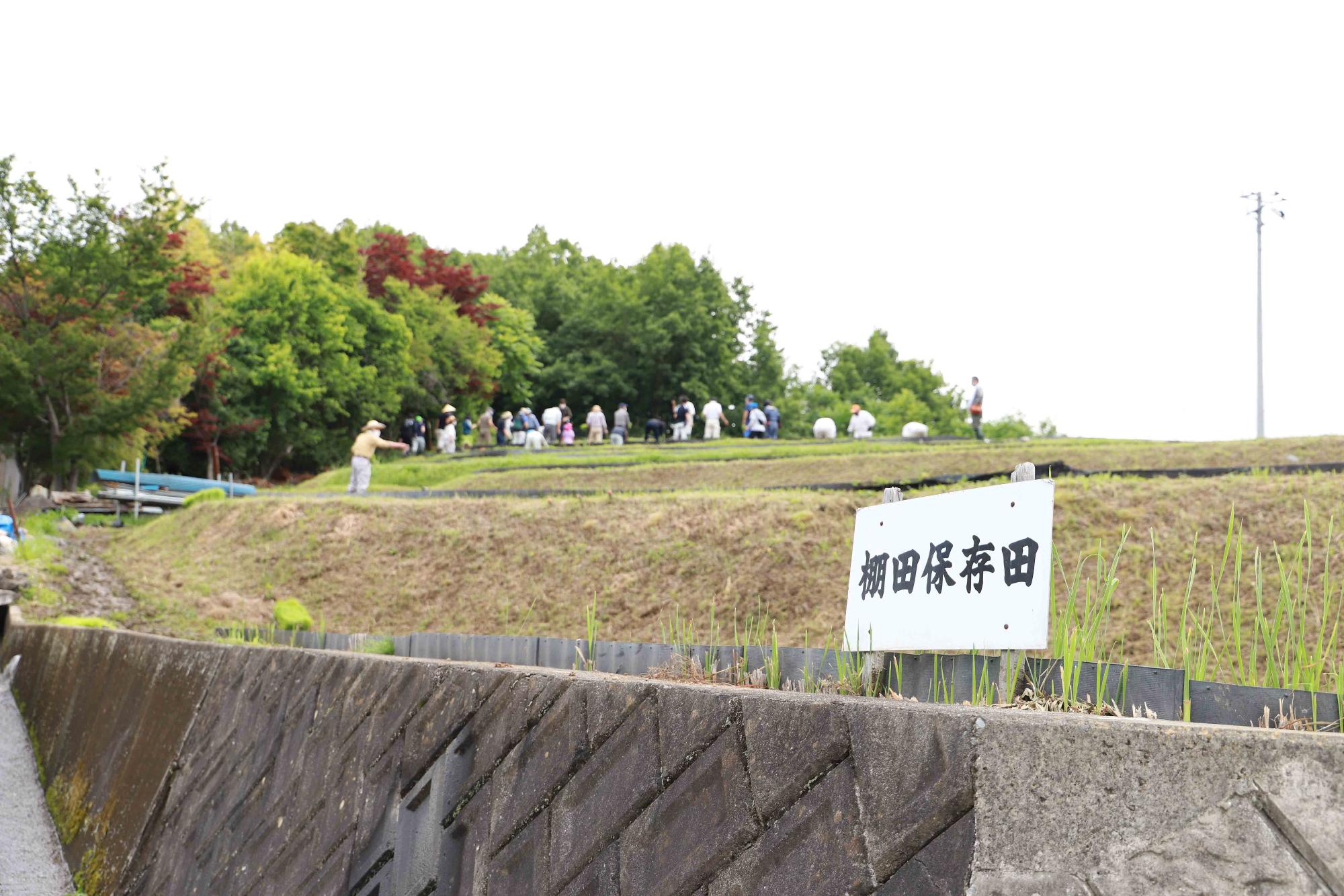 0605棚田イベント