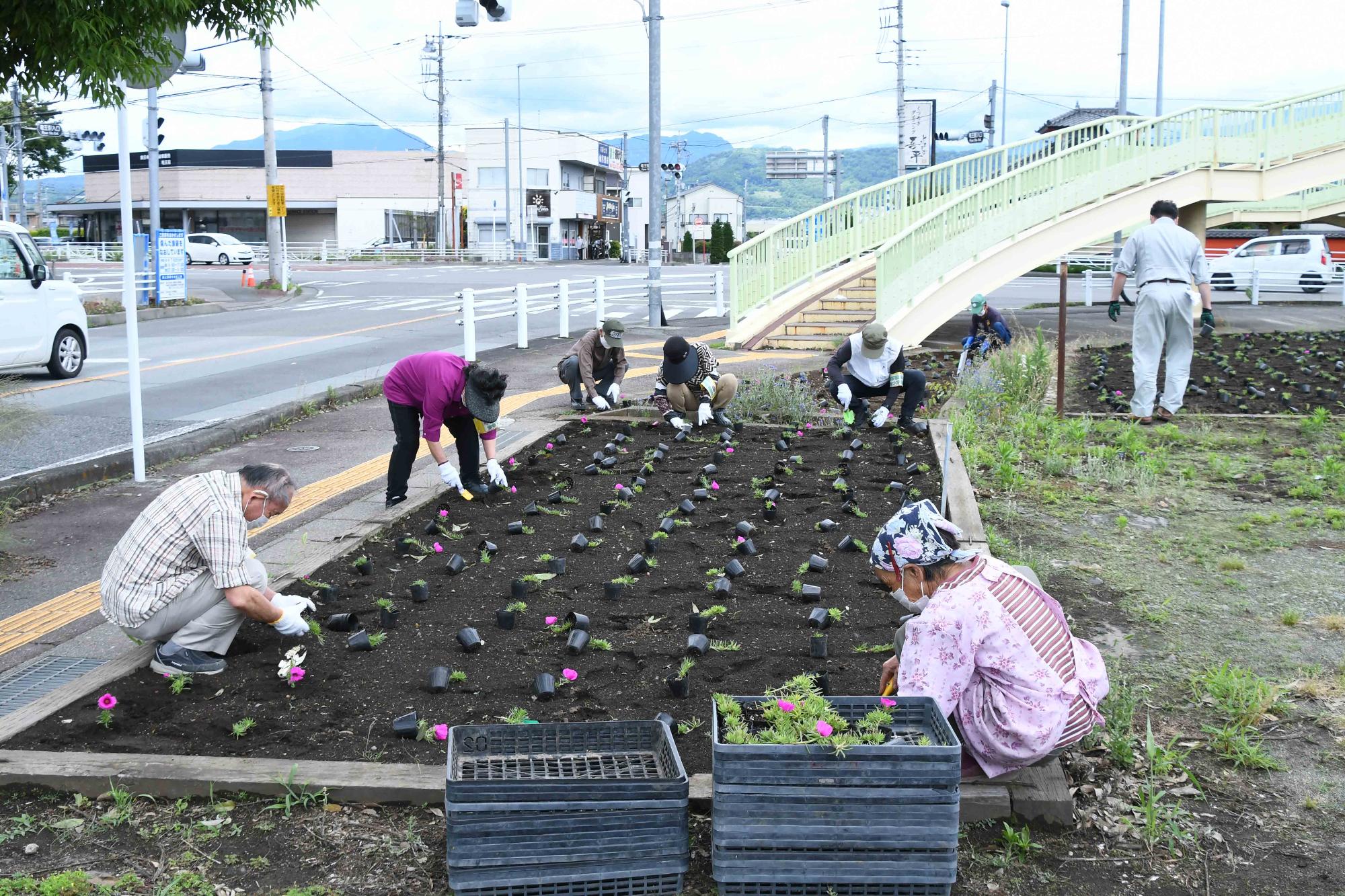 20220607一斉植花ボランティア
