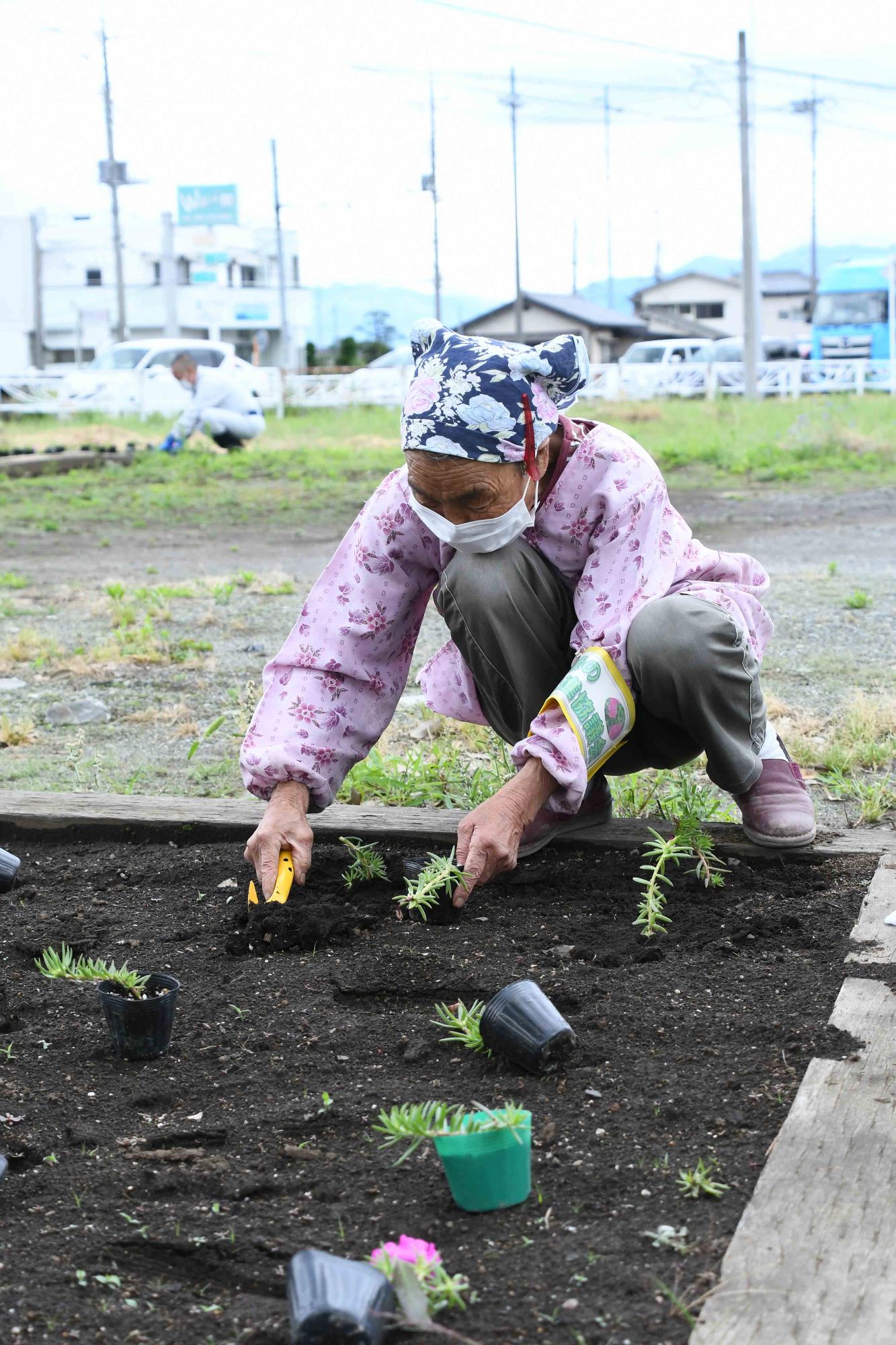 20220607一斉植花ボランティア