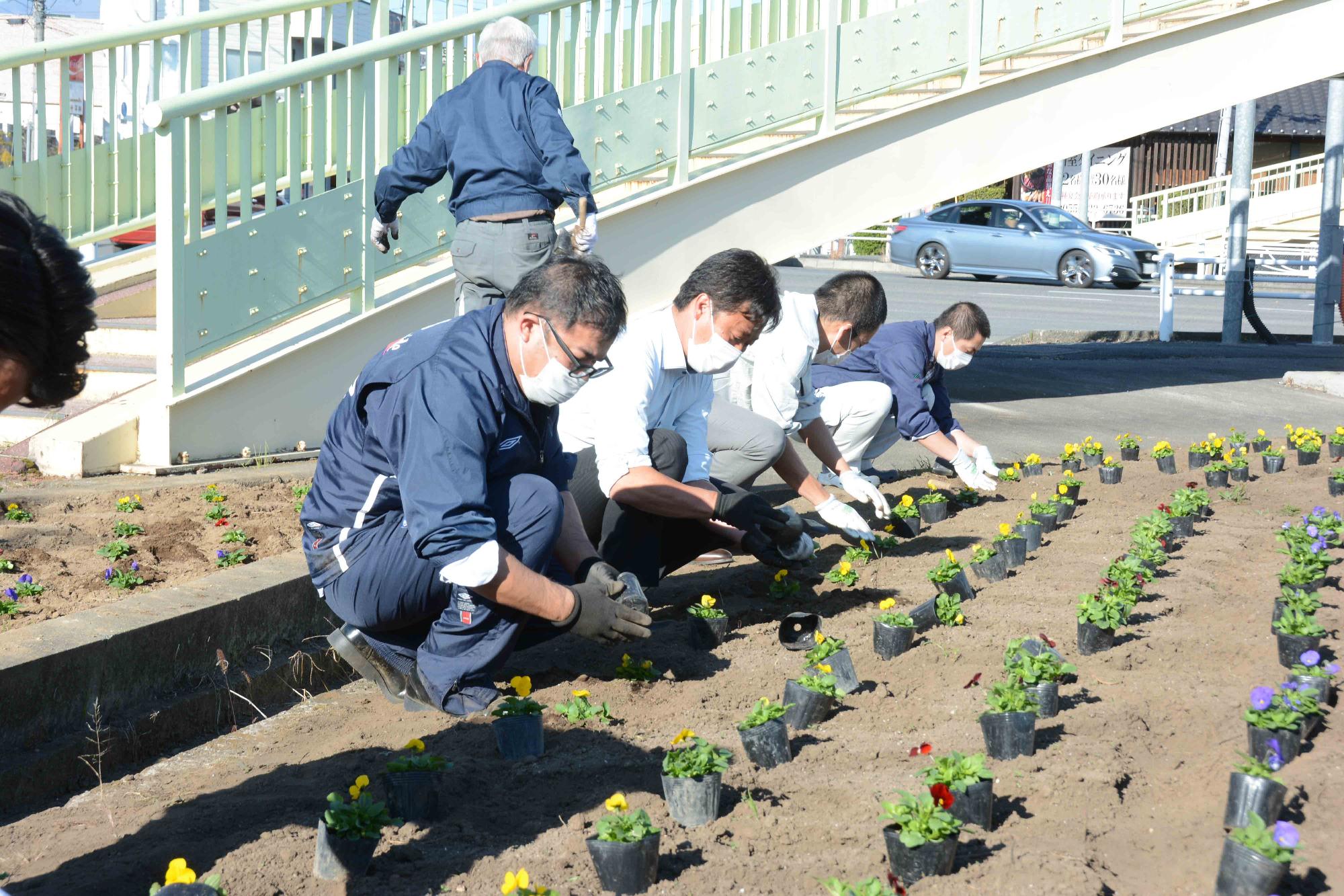 20221108秋の一斉植花