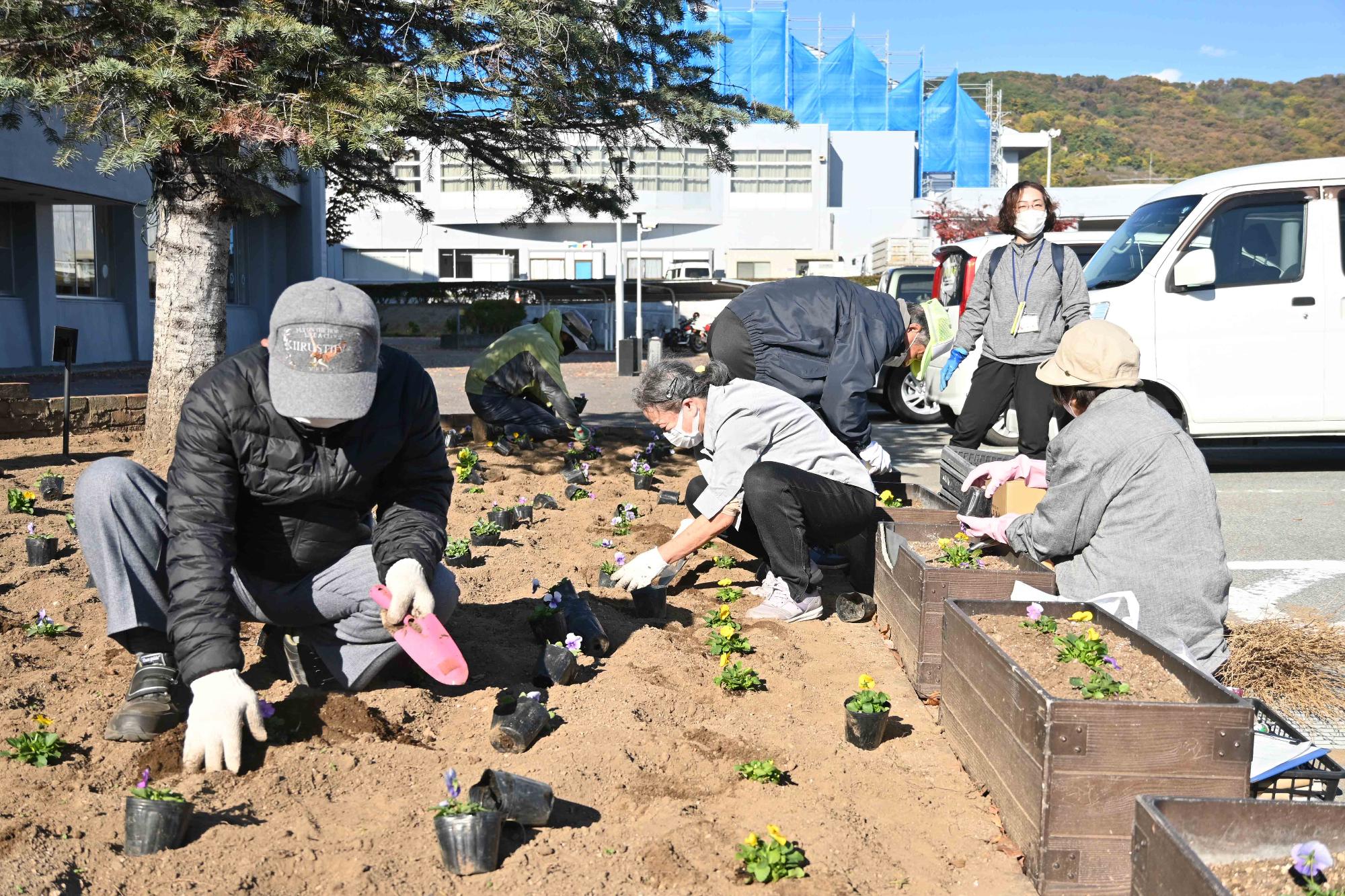20221108秋の一斉植花