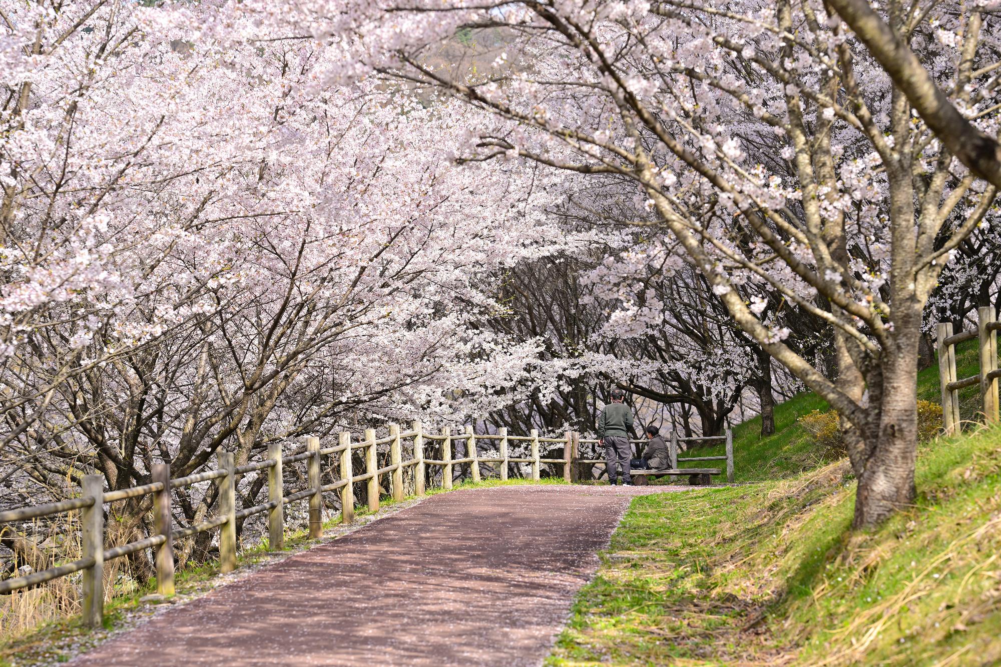 20230328敷島総合公園