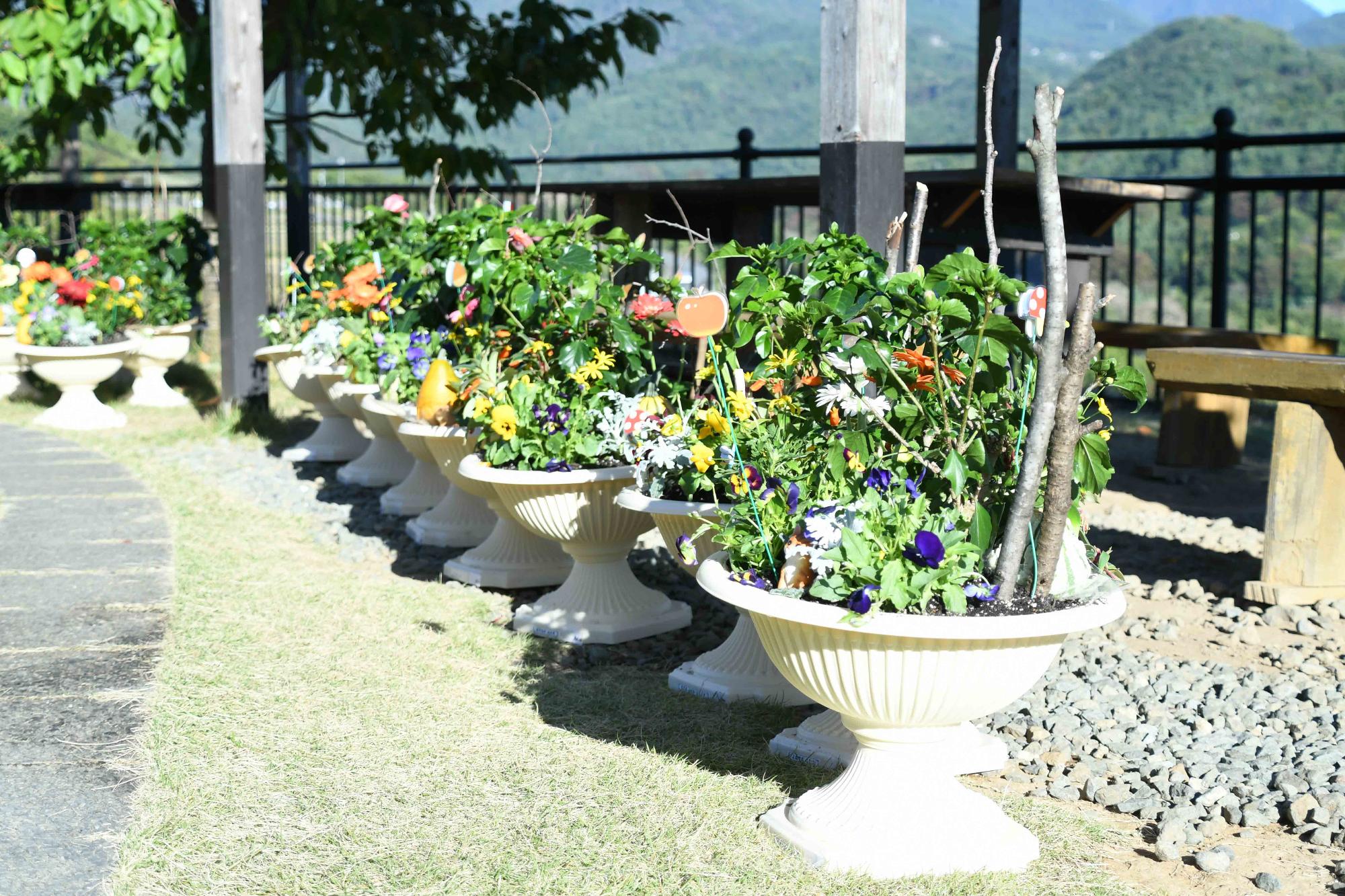 20231022親子ふれ愛寄せ植え教室