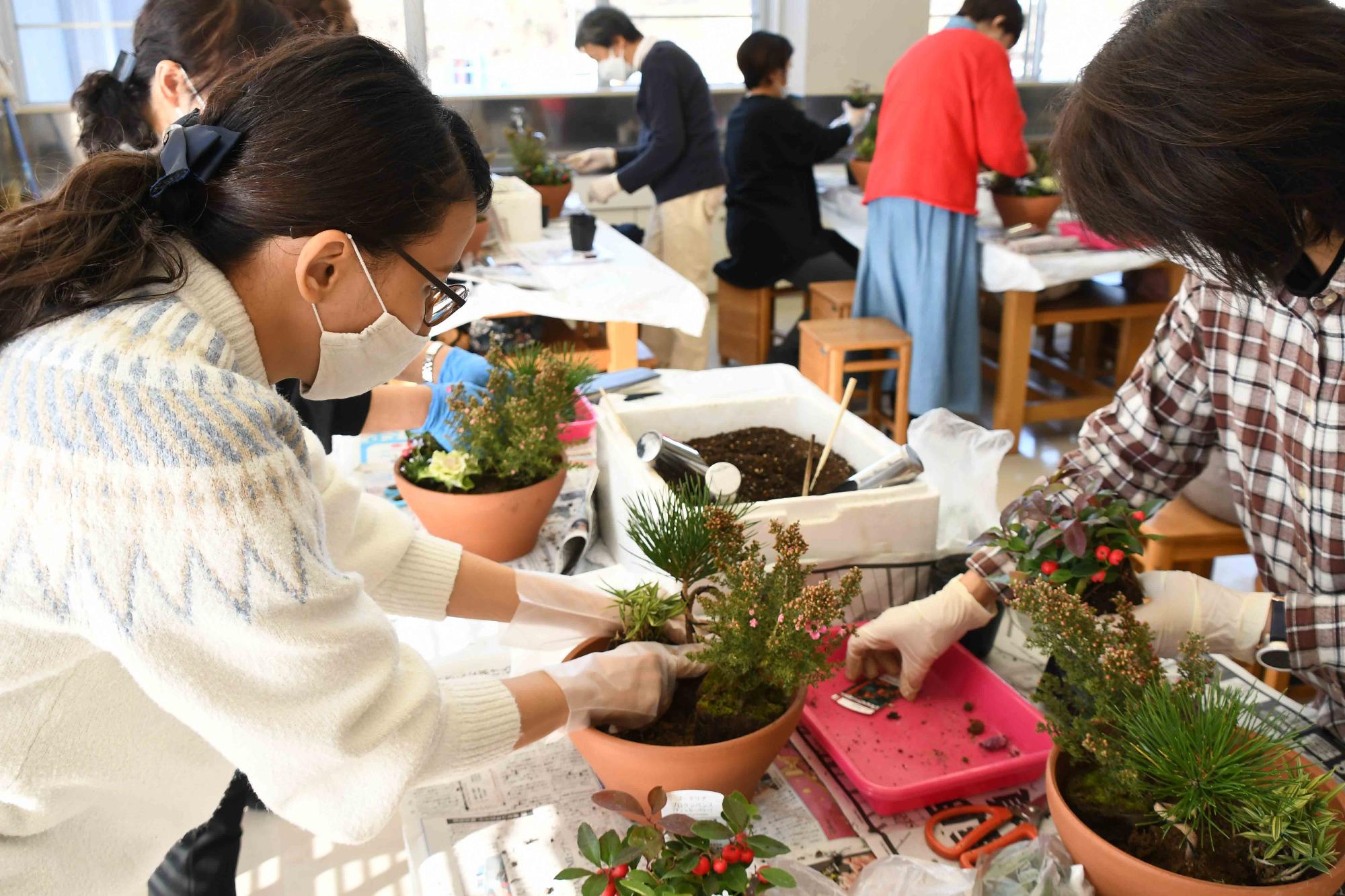 20231220正月向け寄せ植え教室