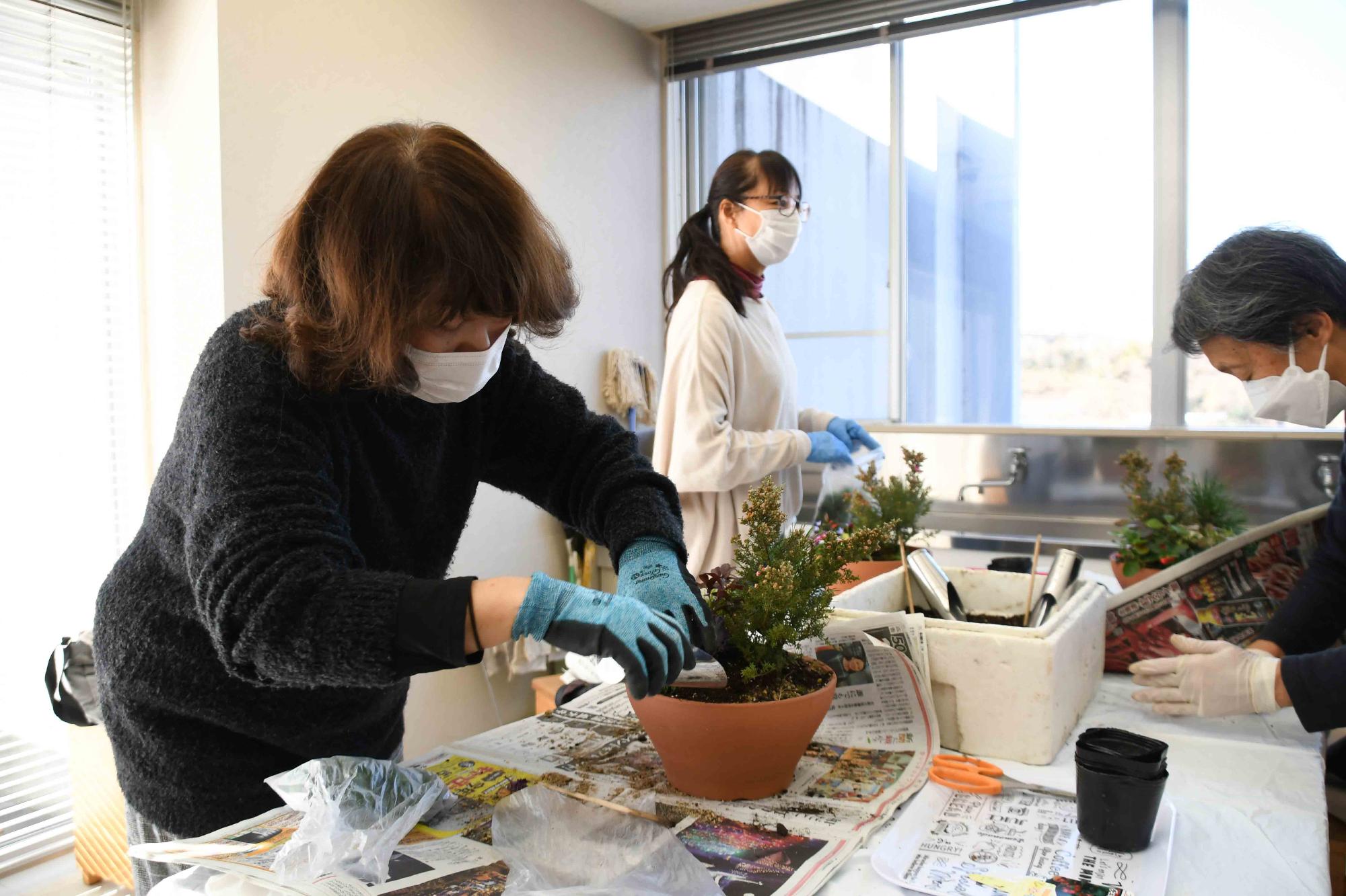 20231220正月向け寄せ植え教室