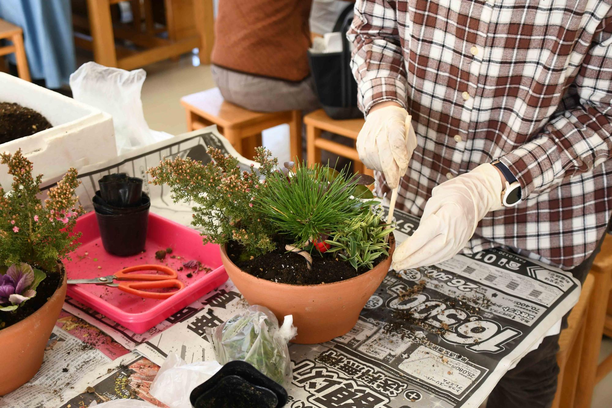 20231220正月向け寄せ植え教室