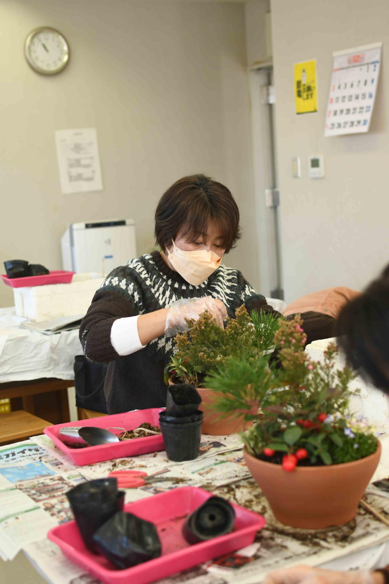 20231220正月向け寄せ植え教室