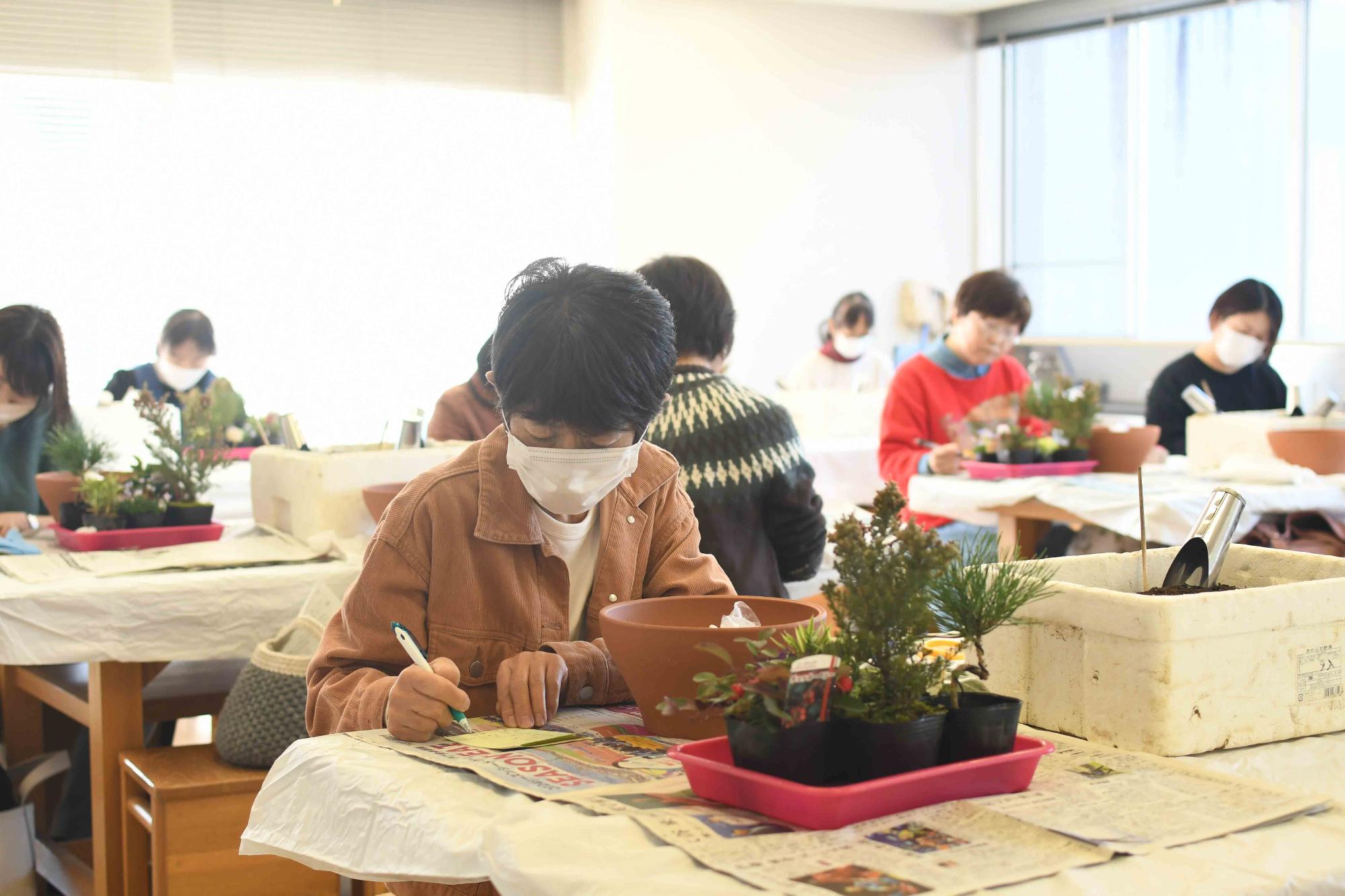 20231222正月向け寄せ植え教室
