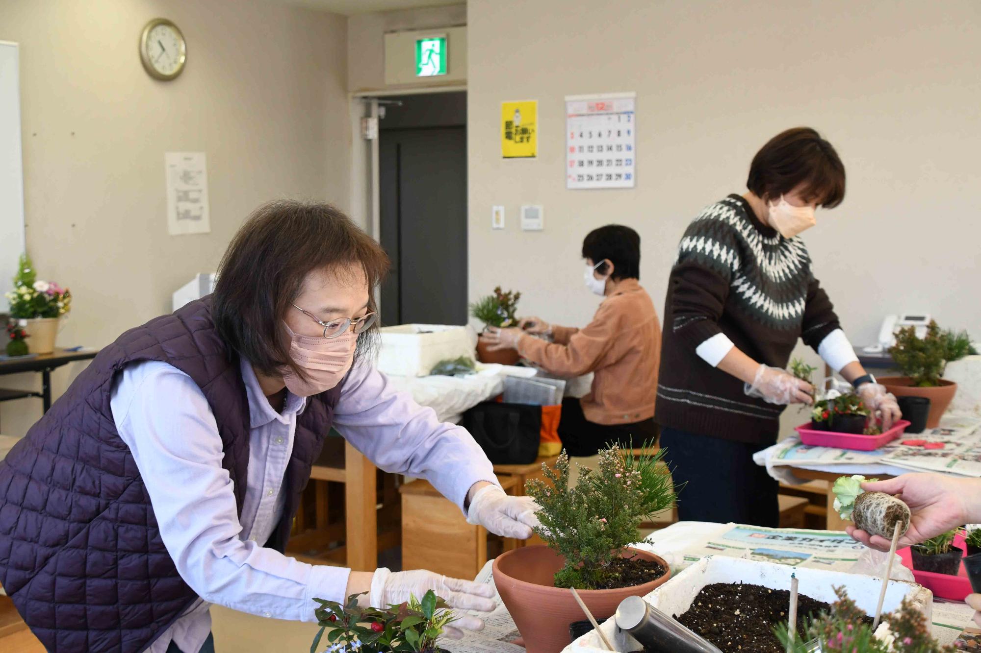 20231220正月向け寄せ植え教室