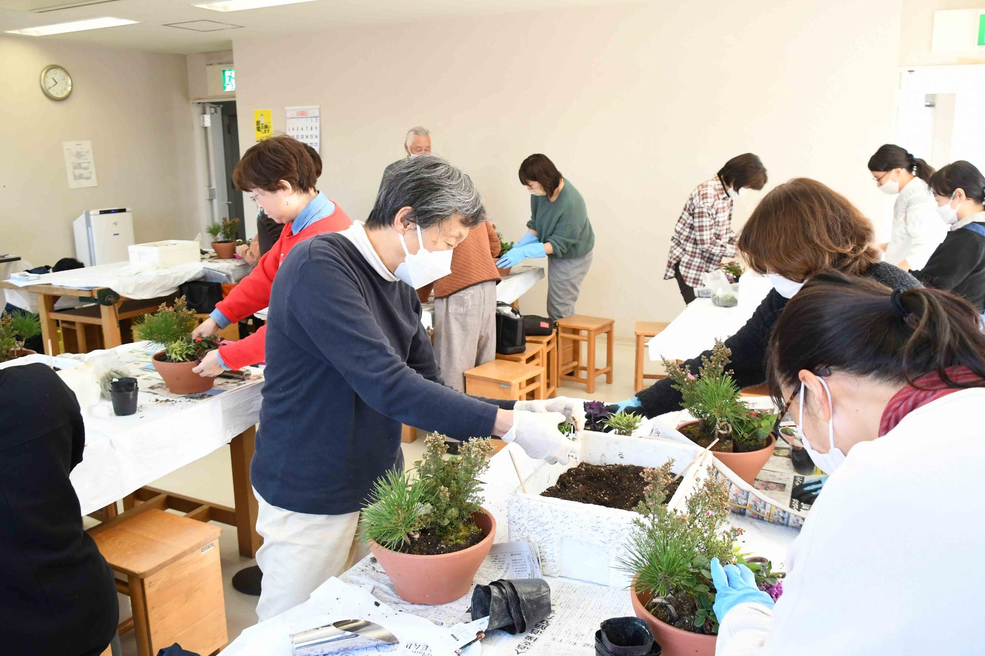 20231220正月向け寄せ植え教室