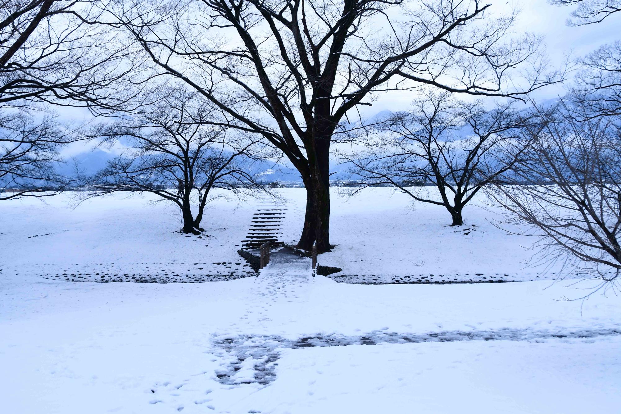 20240206市内に今年初めての積雪