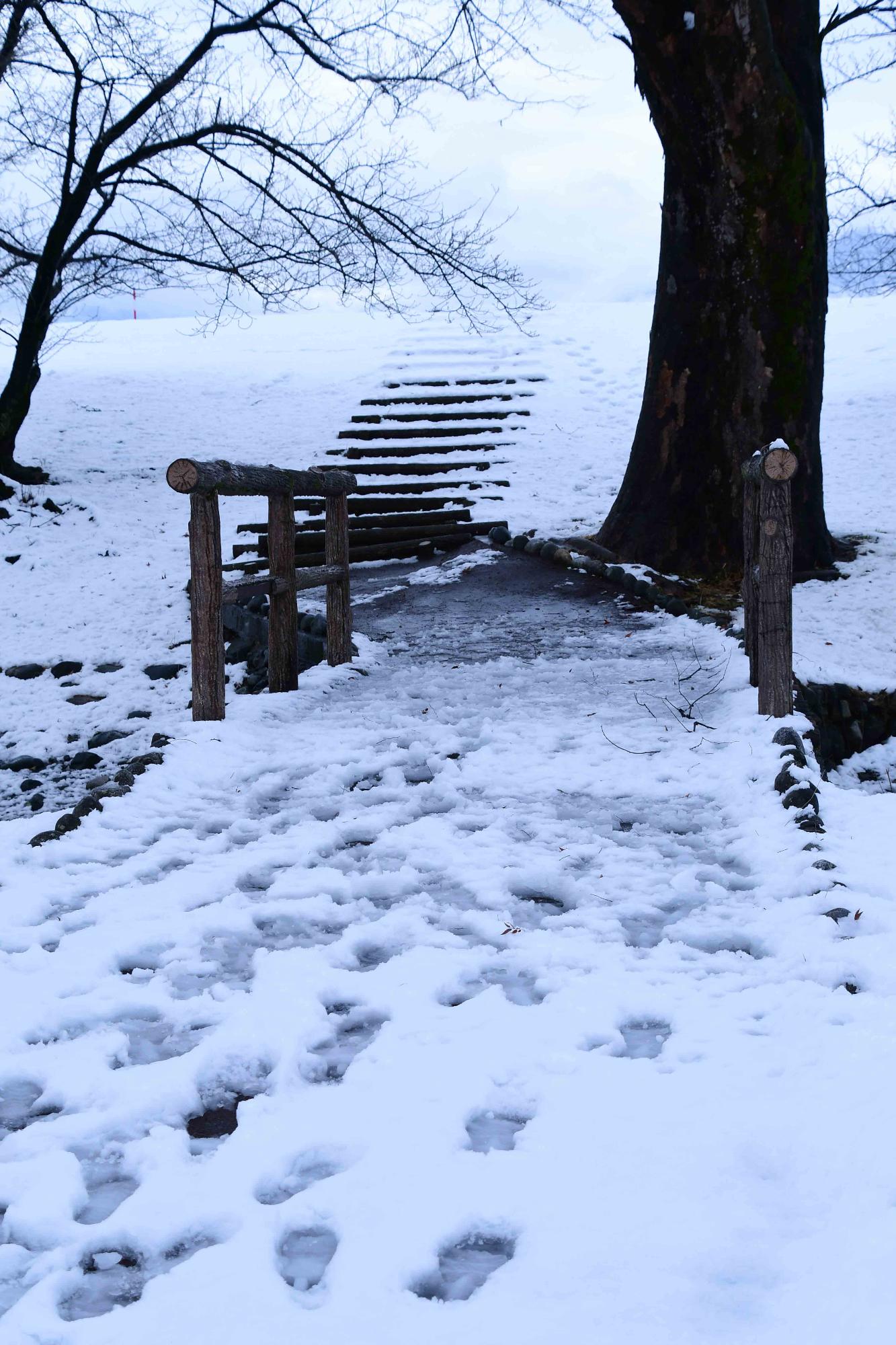 20240206市内に今年初めての積雪