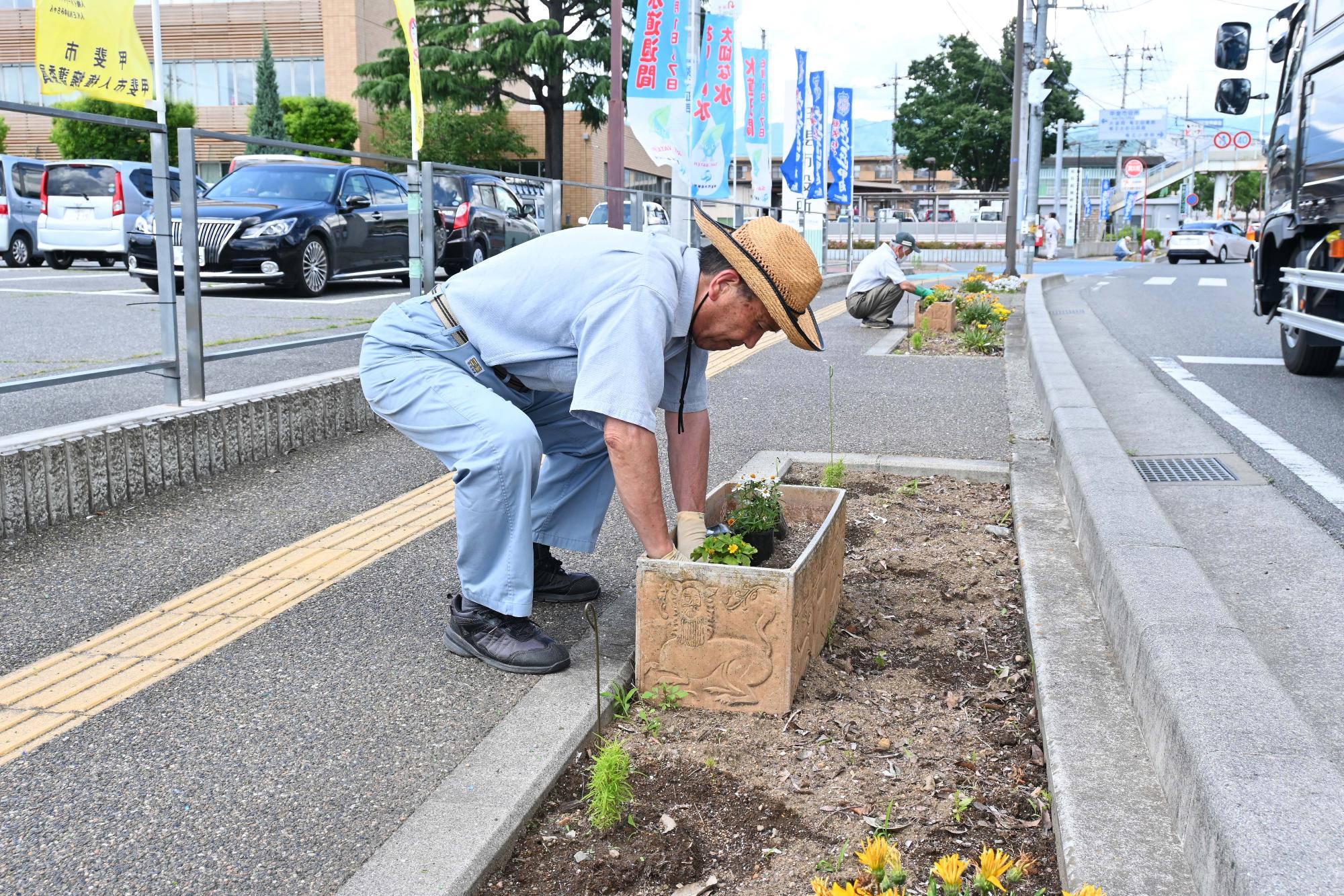 春の一斉植花5601