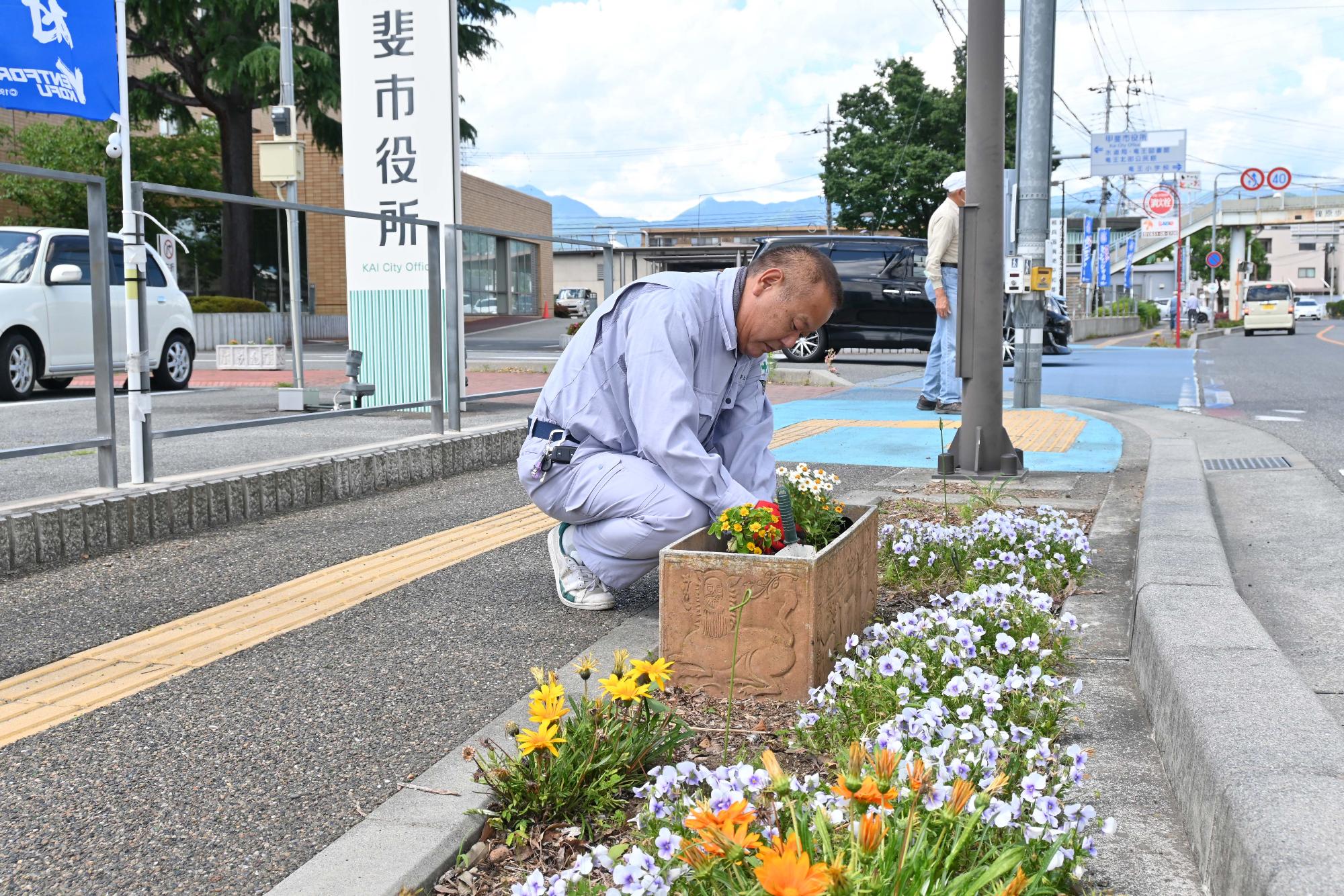 春の一斉植花5615
