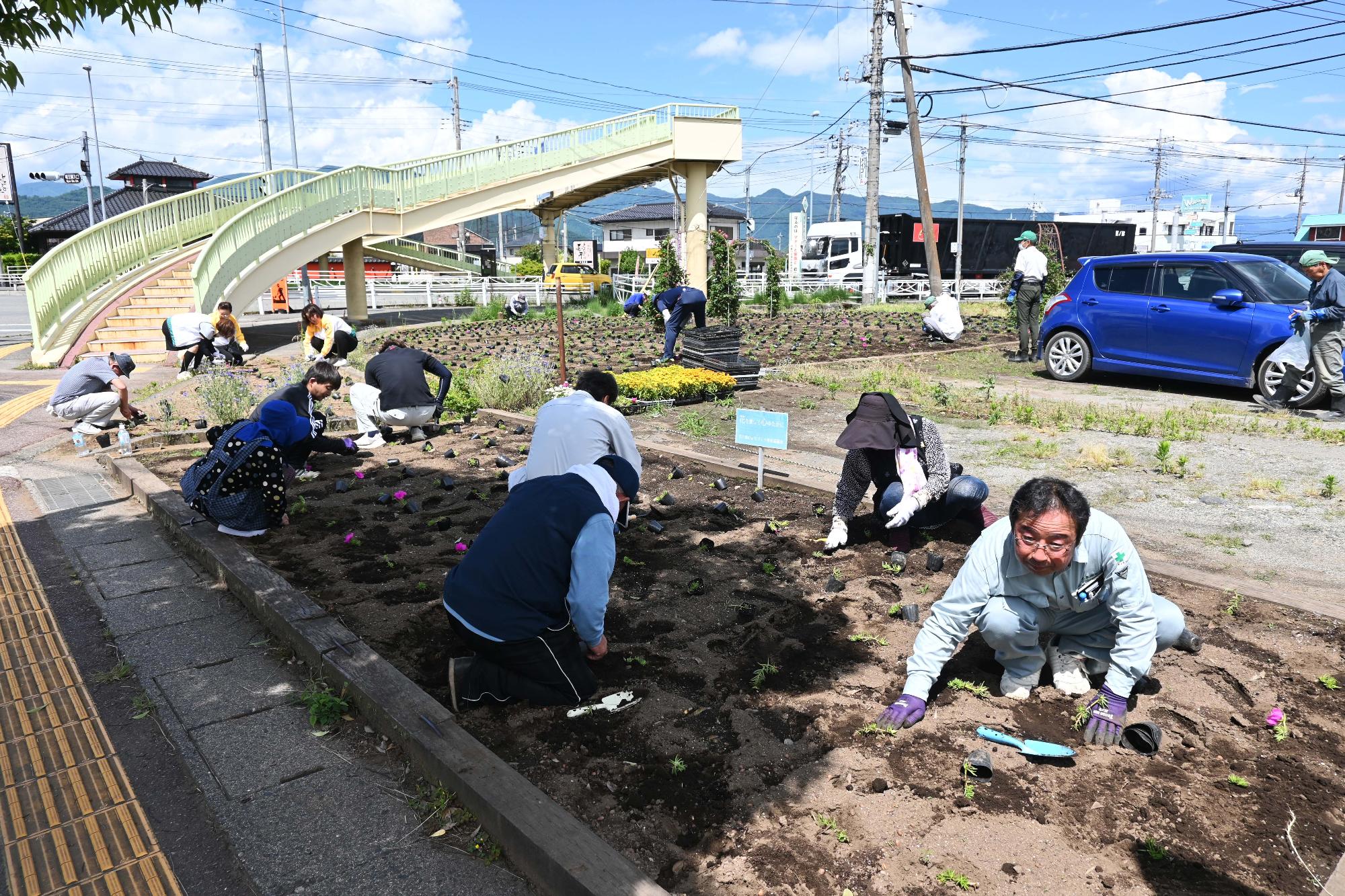 春の一斉植花5652