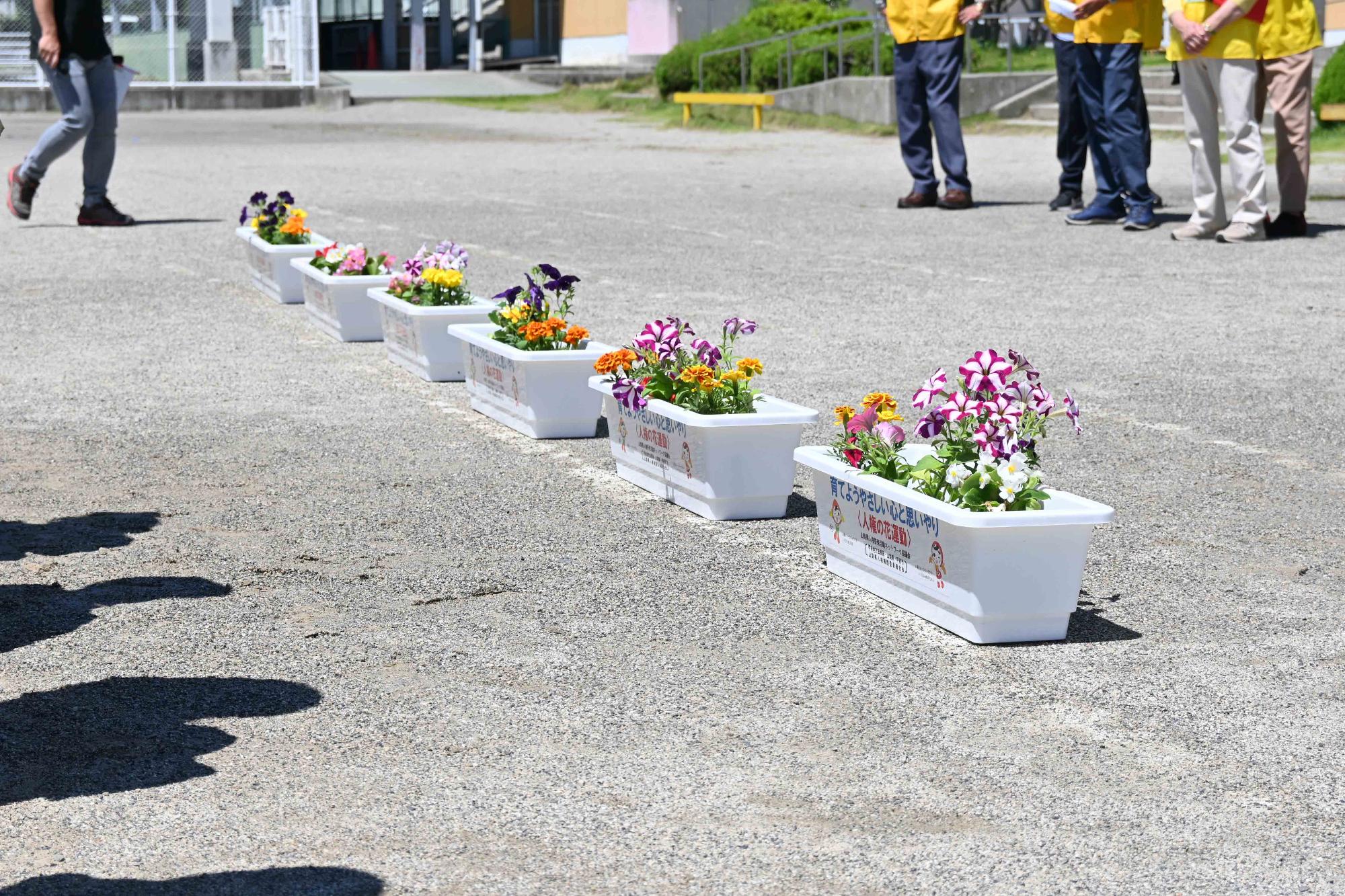 人権の花玉小3567