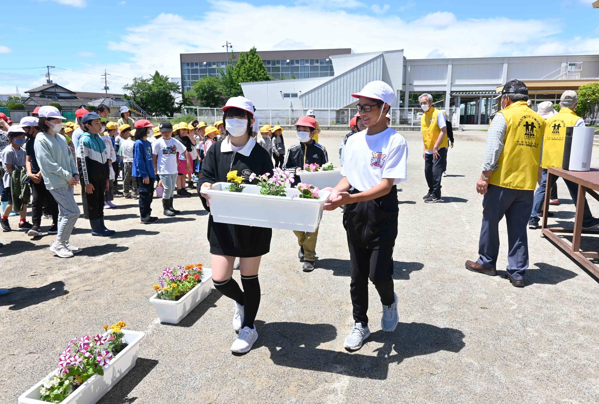 人権の花玉小3663