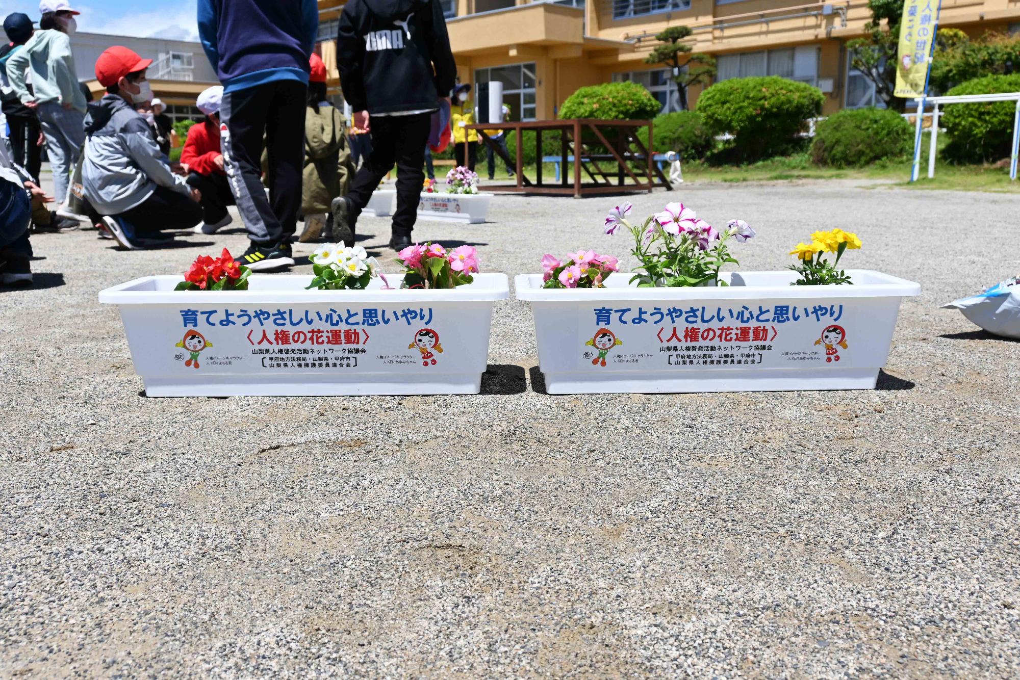 人権の花玉小3681