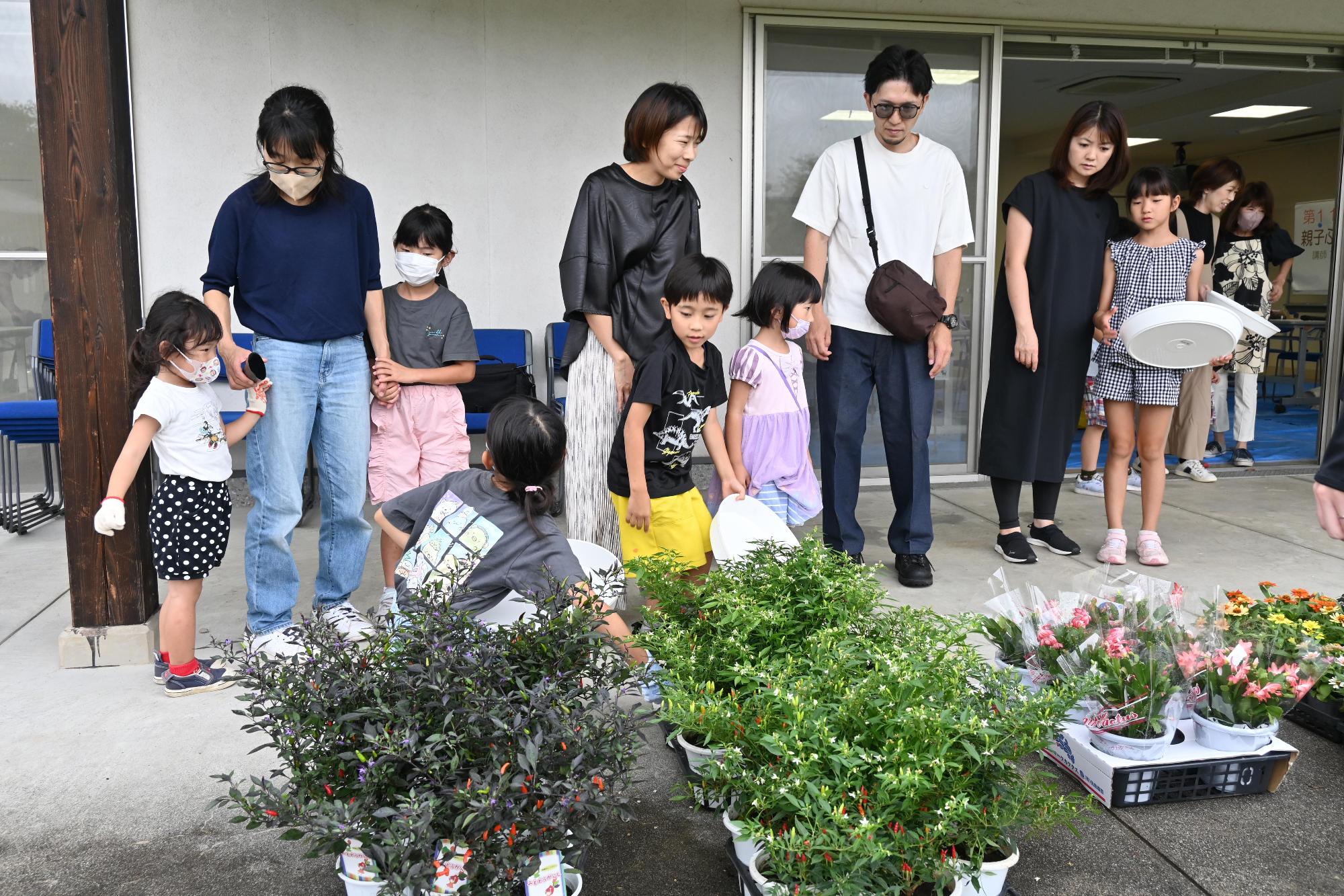 親子ふれ愛寄せ植え教室7132