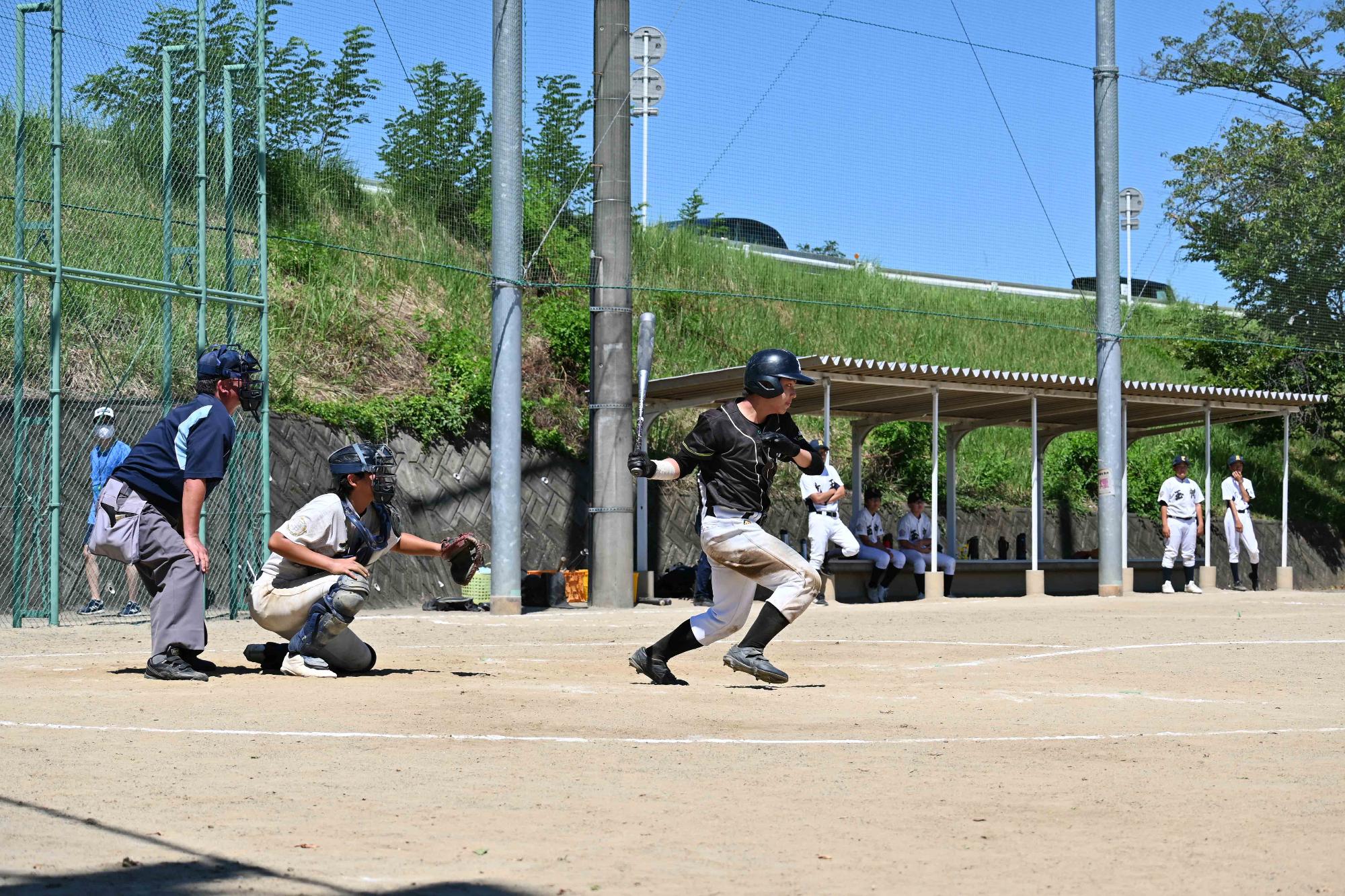ロータリー中学野球5655