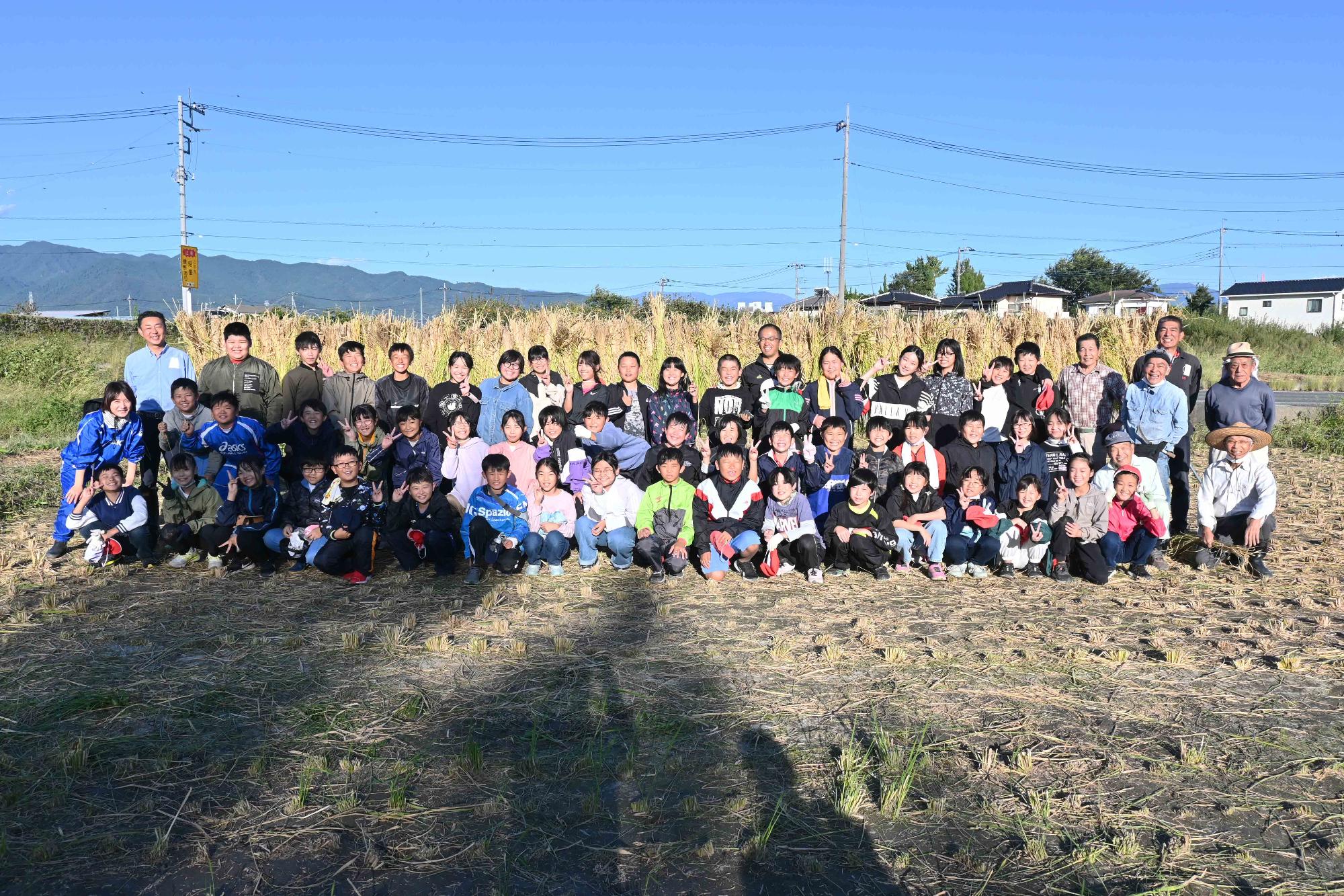 竜王南小稲刈り1039