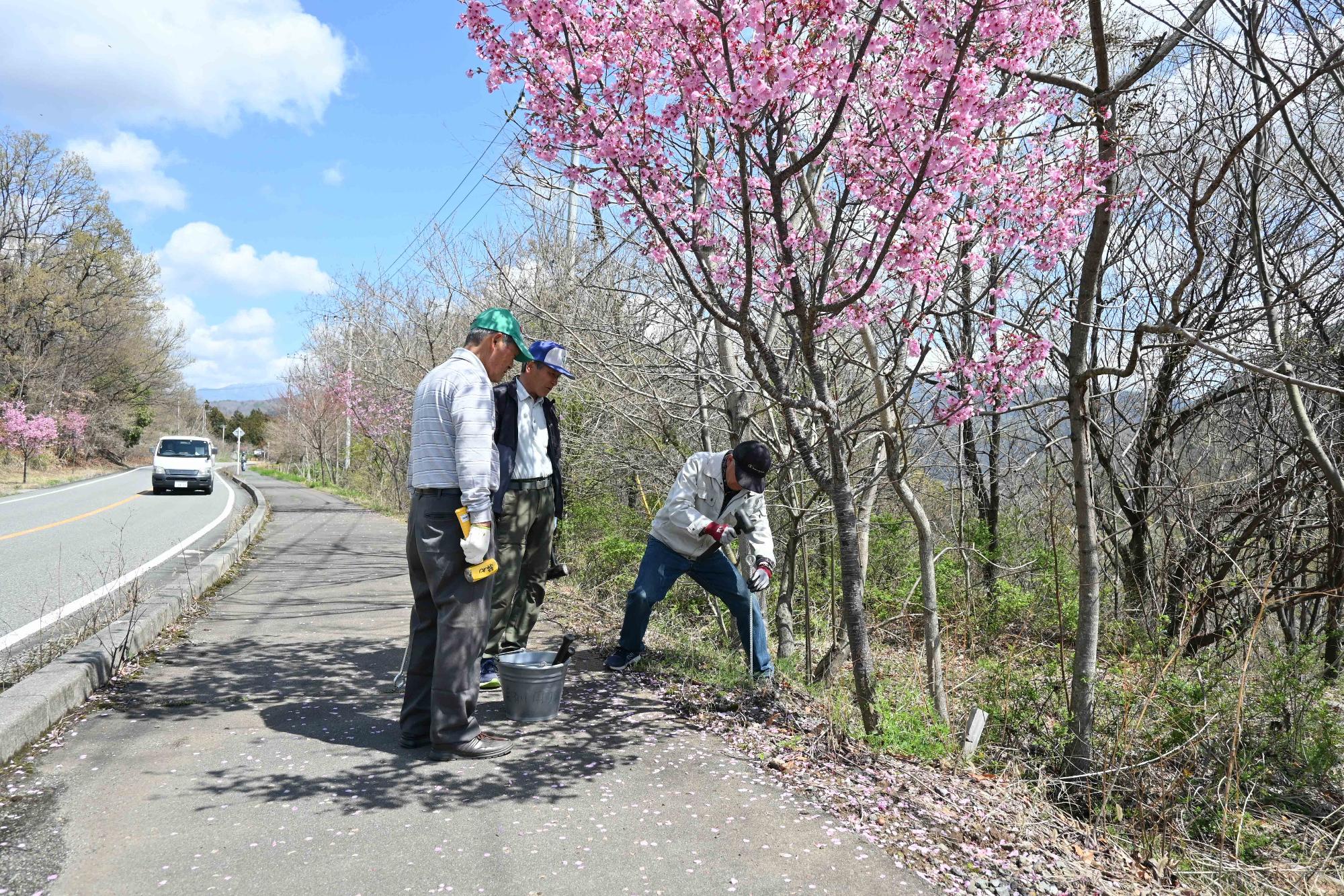 桜の花を守る会9209