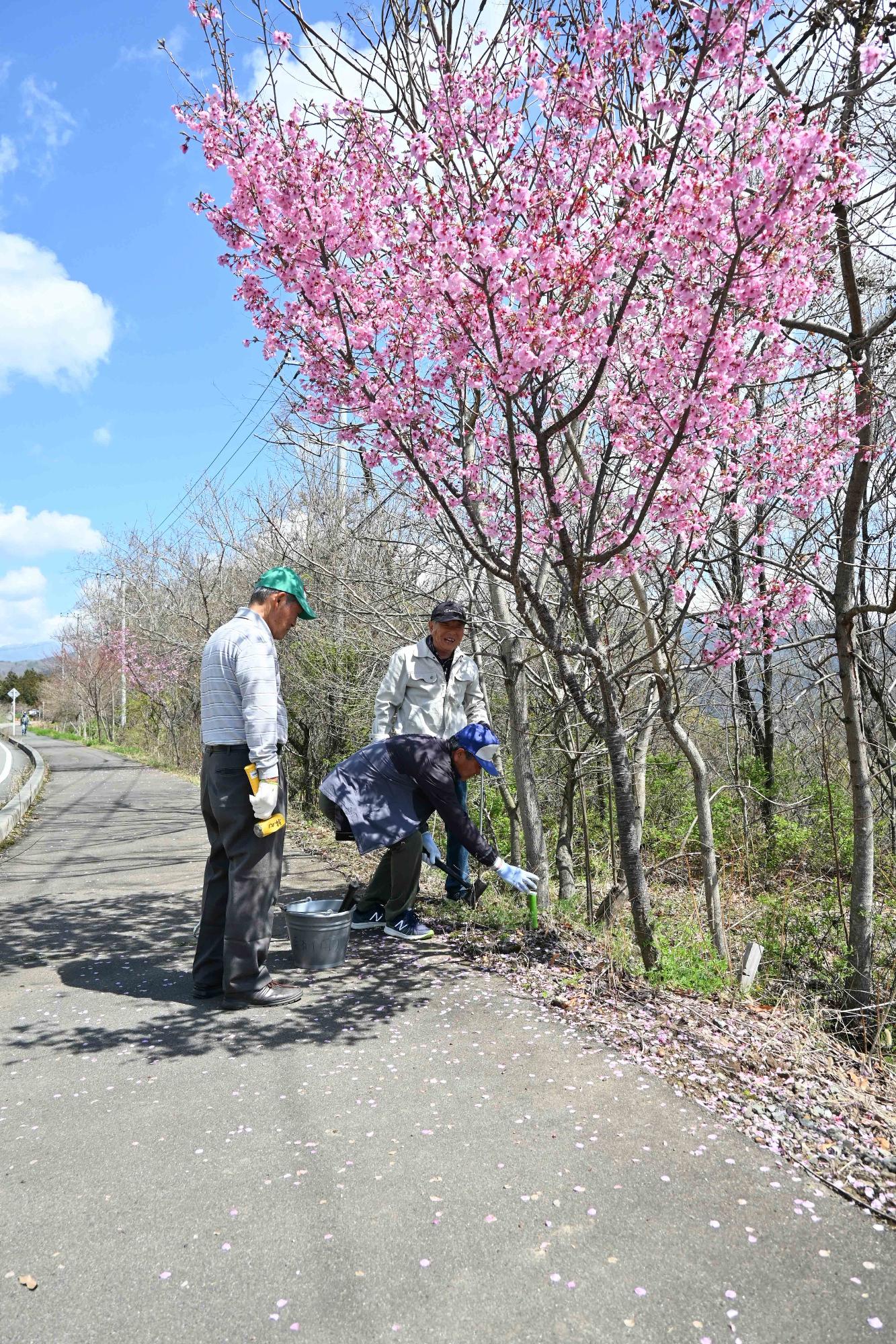 桜の花を守る会9210