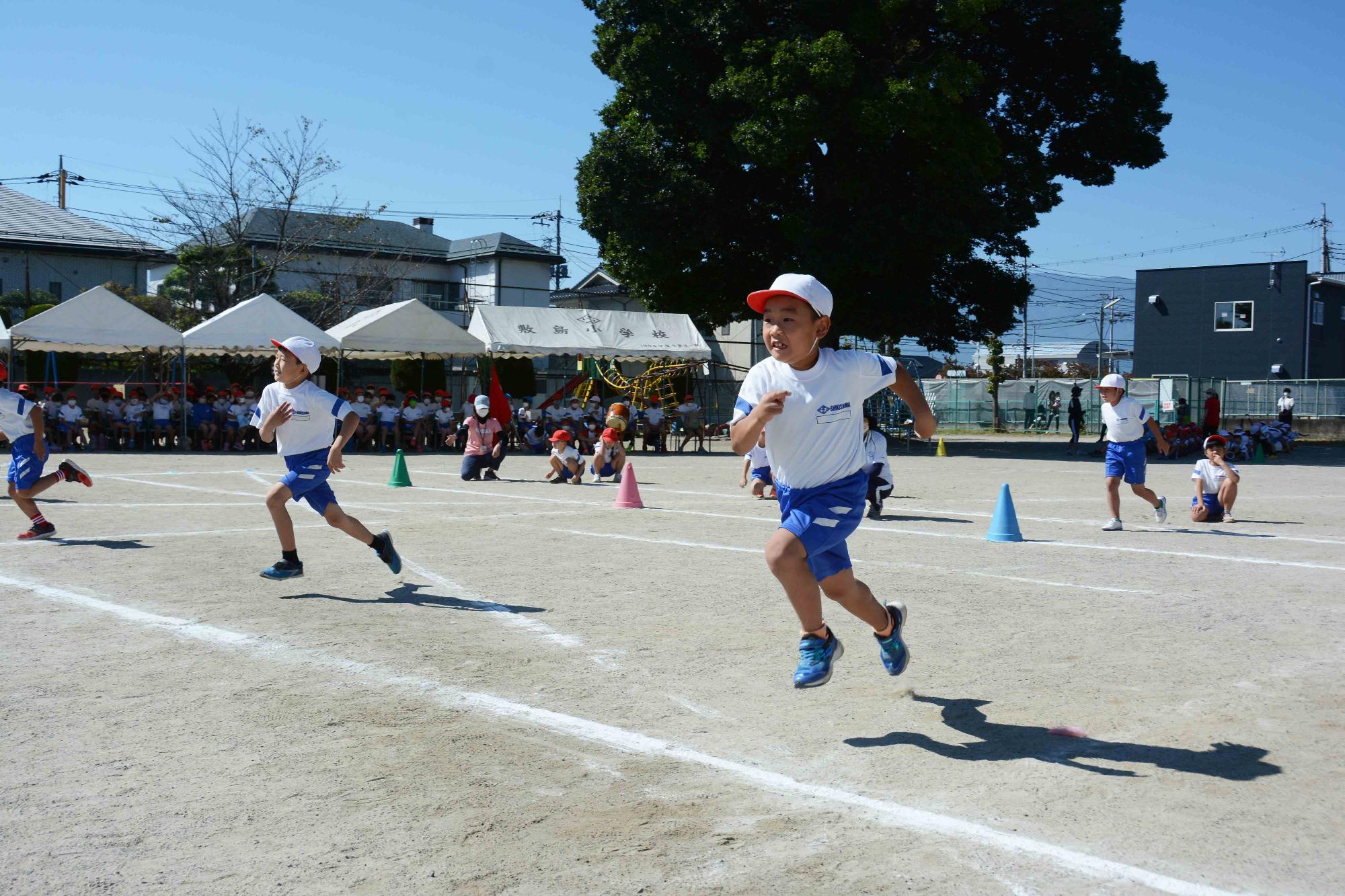 敷小運動会9139