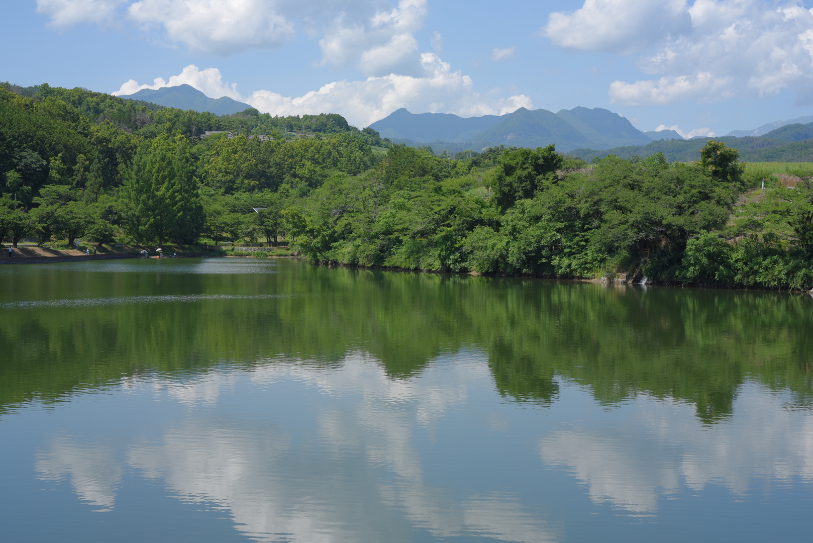 夏の矢木羽湖の写真