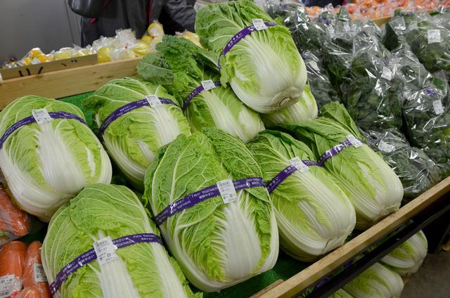 (写真)山積みになったハクサイ