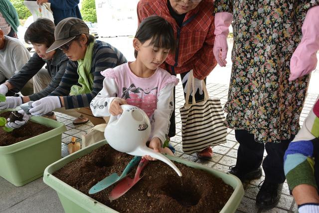 プランターの土にじょうろで水をやる女の子の写真