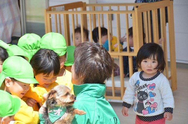 園庭でセラピードックに触れ合う園児たちの写真