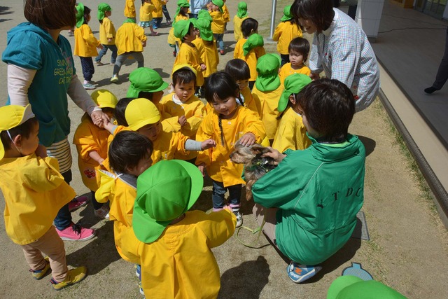 園庭でセラピードックに触れ合う園児たちの写真