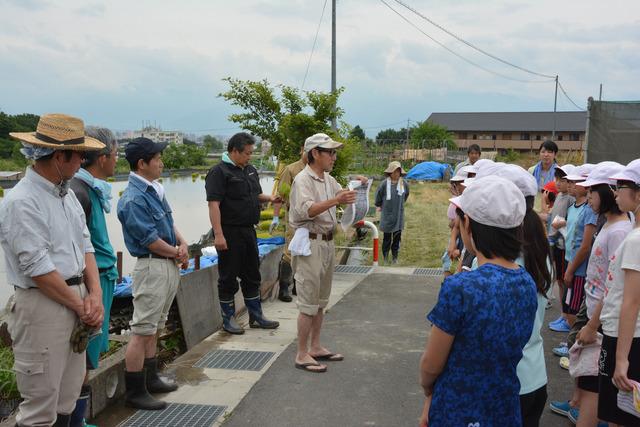 敷島北小学校田植えの様子の写真1