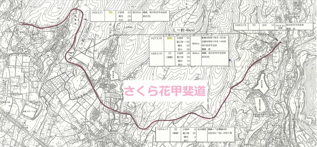 さくら花甲斐道の植樹図