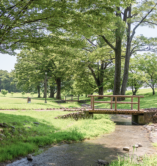 しぜんとあそぶ