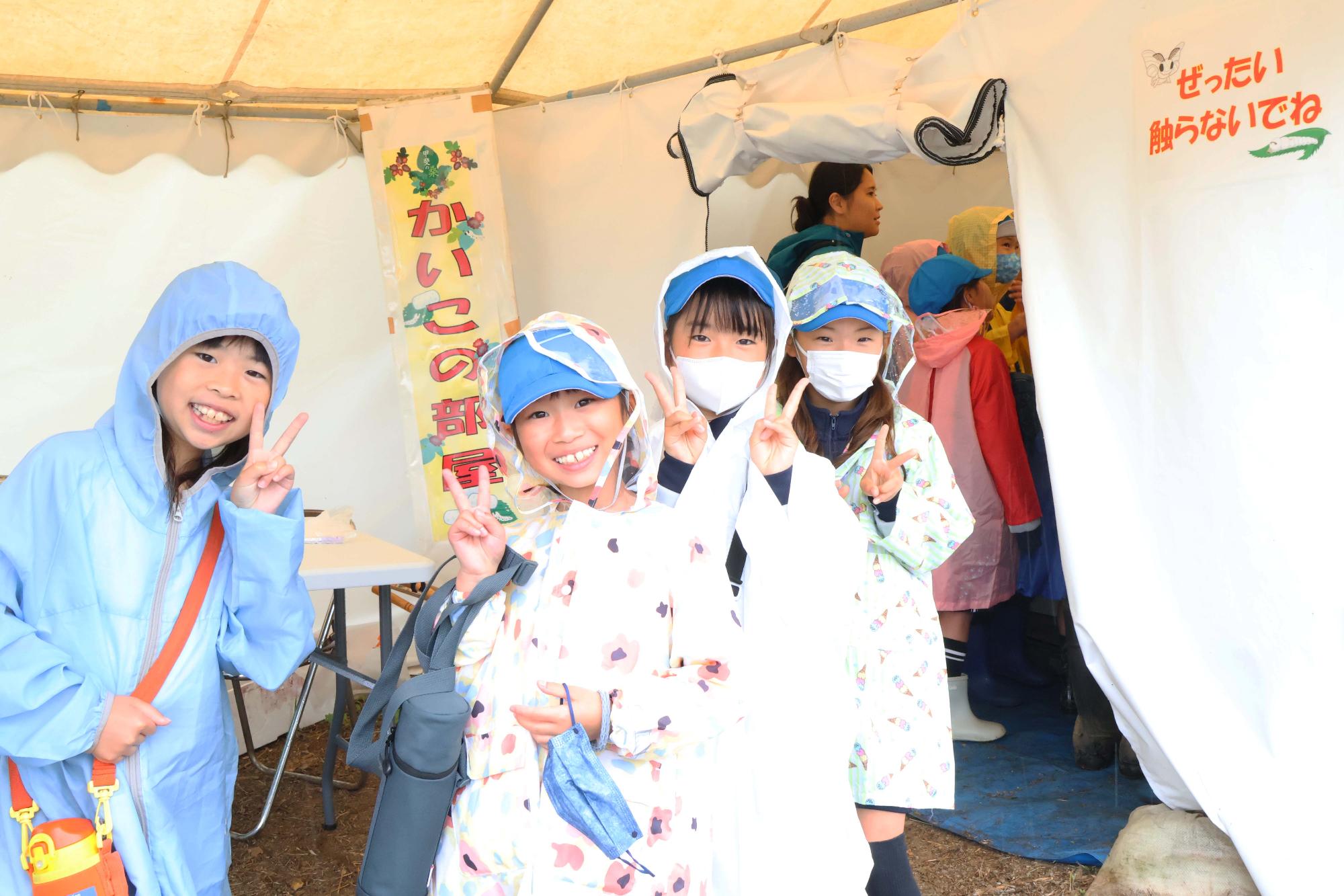 双葉東小学校桑の実摘み体験