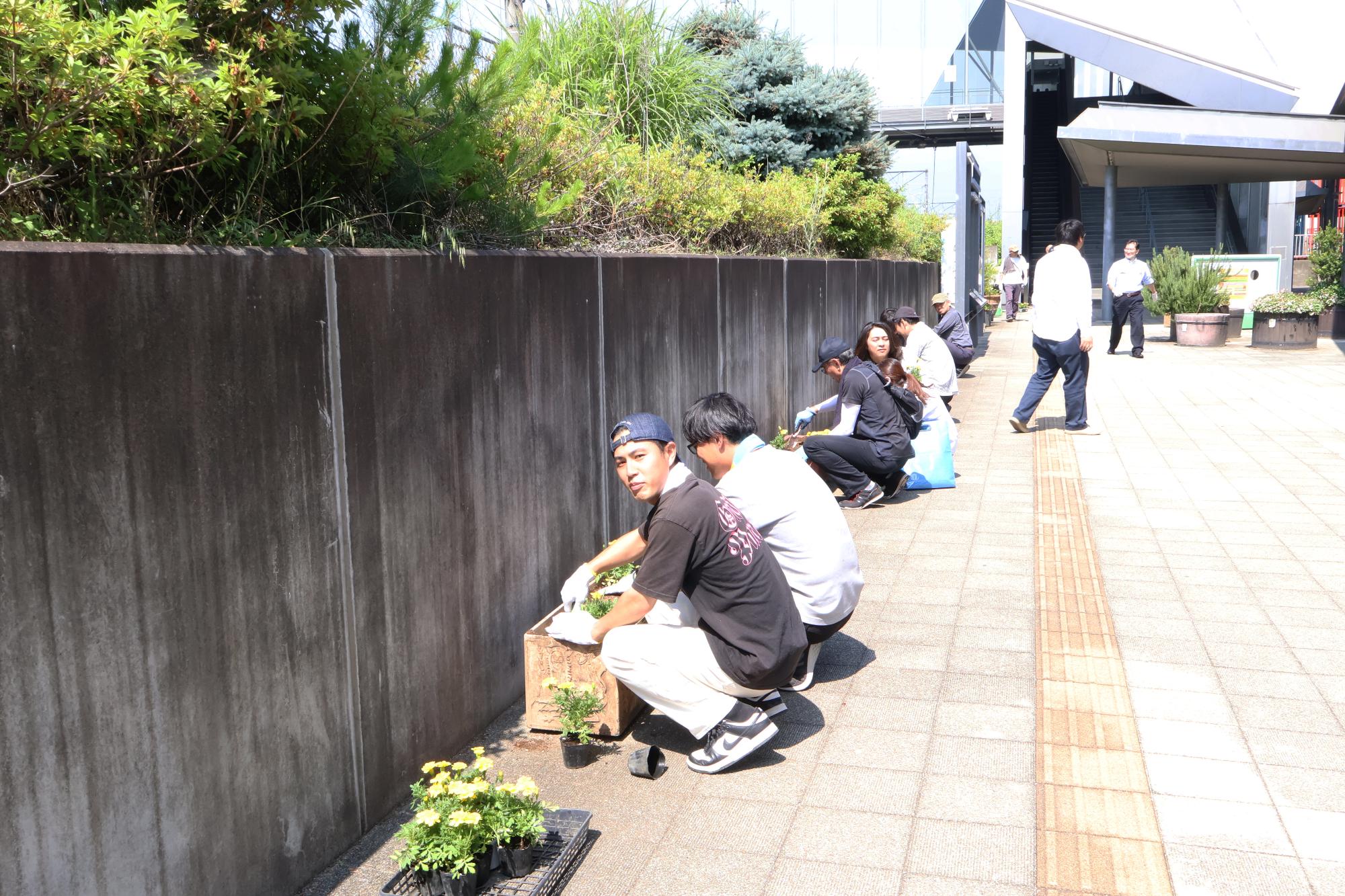 春の植花作業