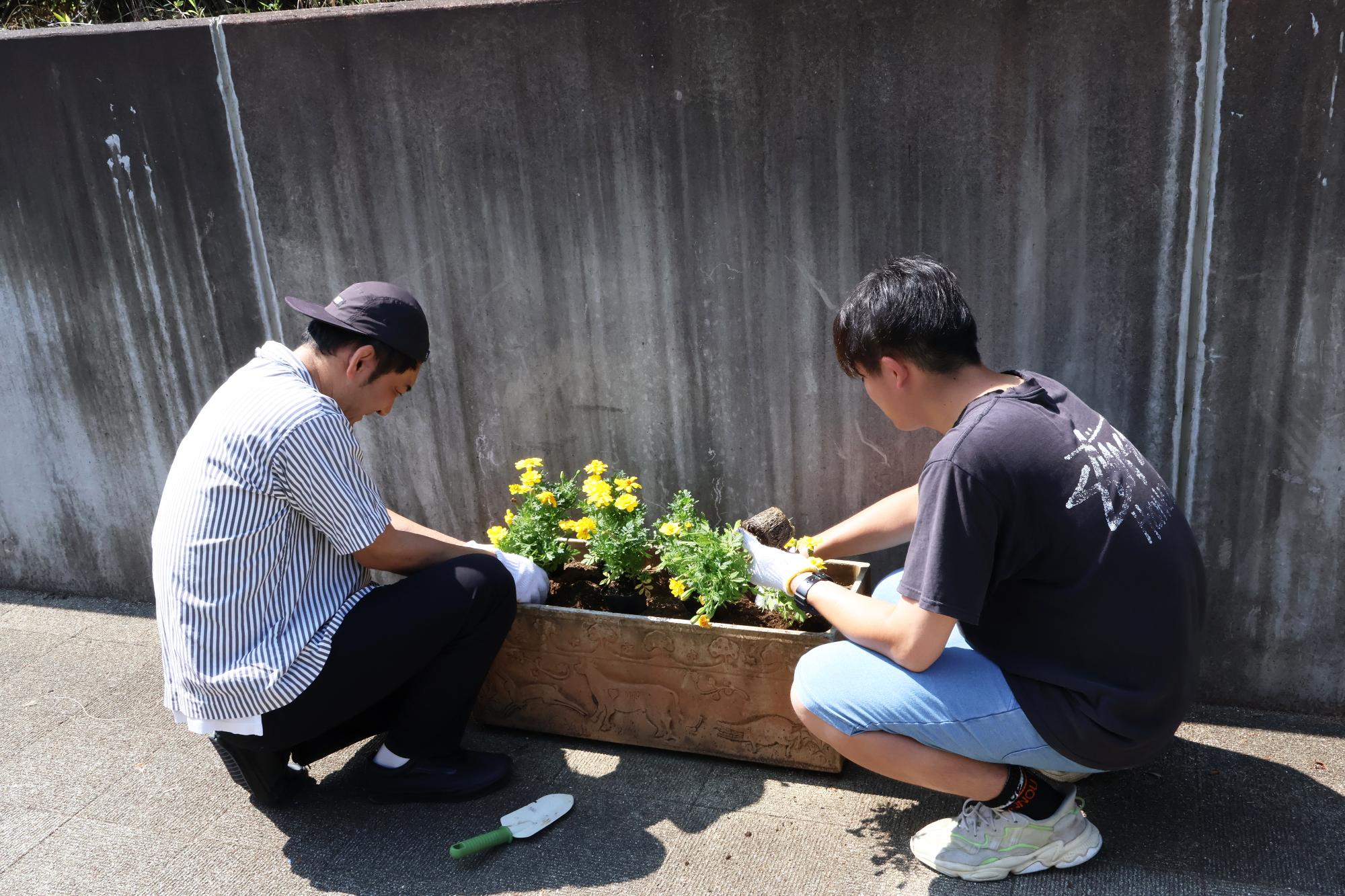 春の植花作業