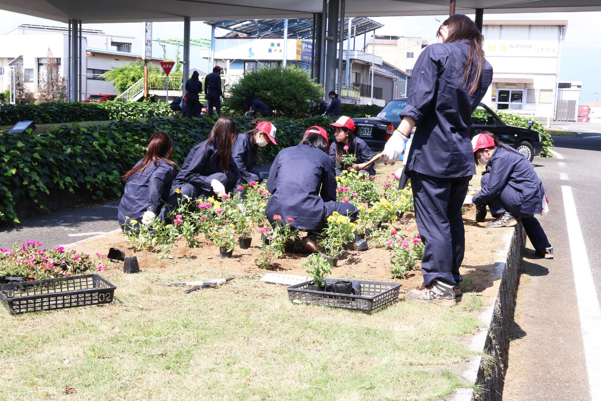 春の植花作業