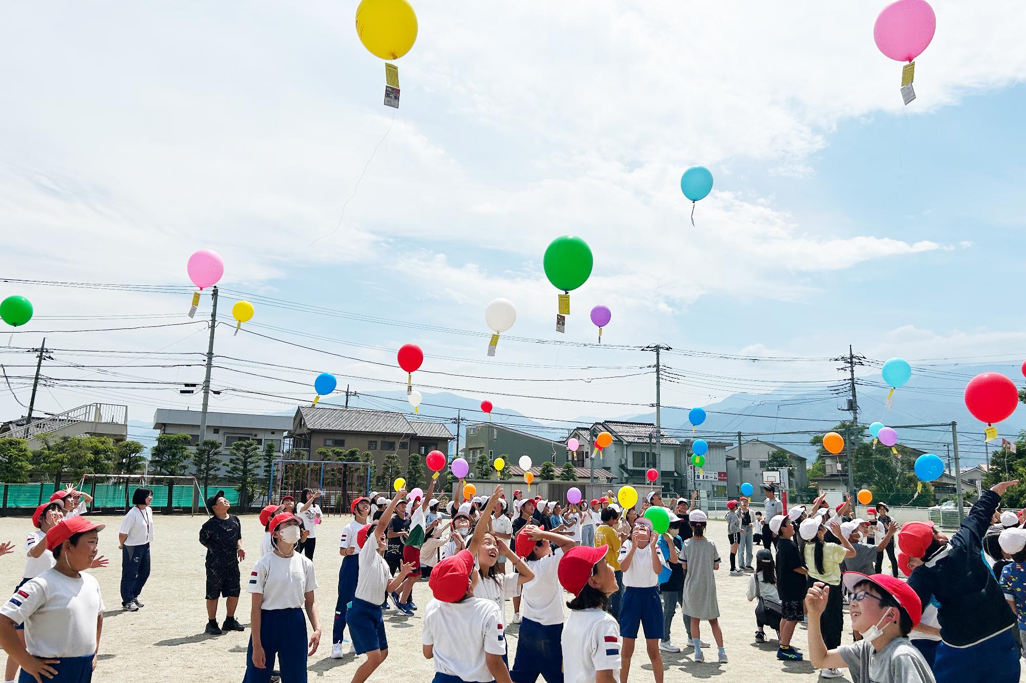 双葉西小学校人権の花