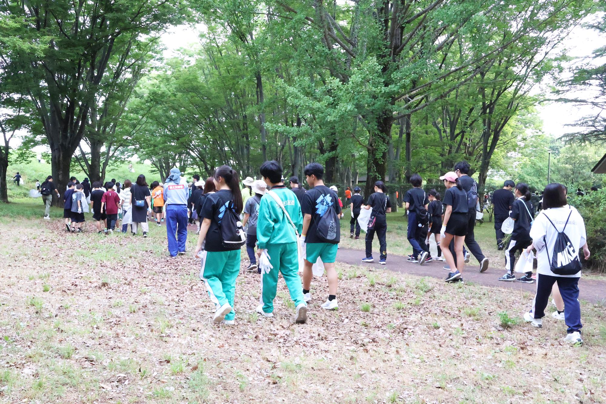 富士川流域一斉河川清掃・外来植物オオキンケイギク駆除作業