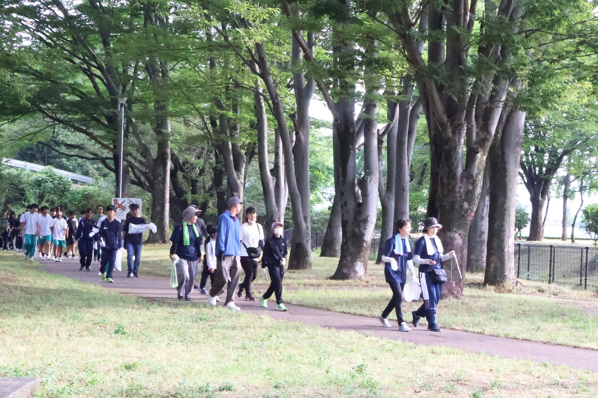富士川流域一斉河川清掃・外来植物オオキンケイギク駆除作業