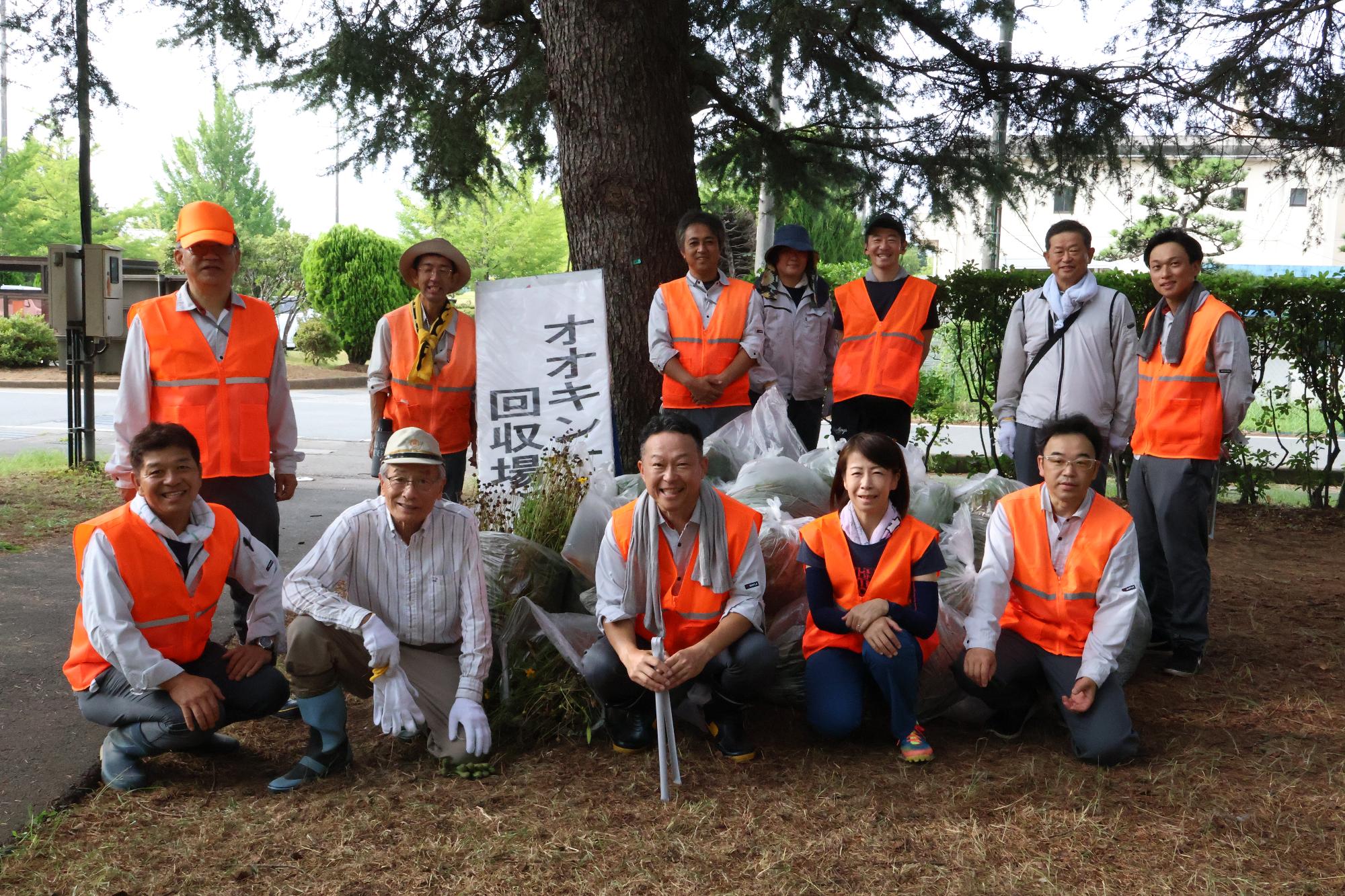 富士川流域一斉河川清掃・外来植物オオキンケイギク駆除作業