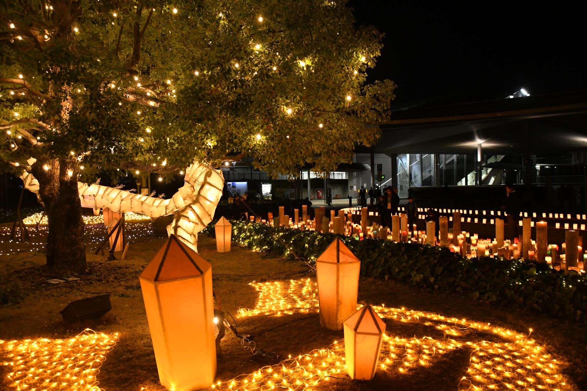 「DRAGON NIGHT～光る竜王灯夜～」開催