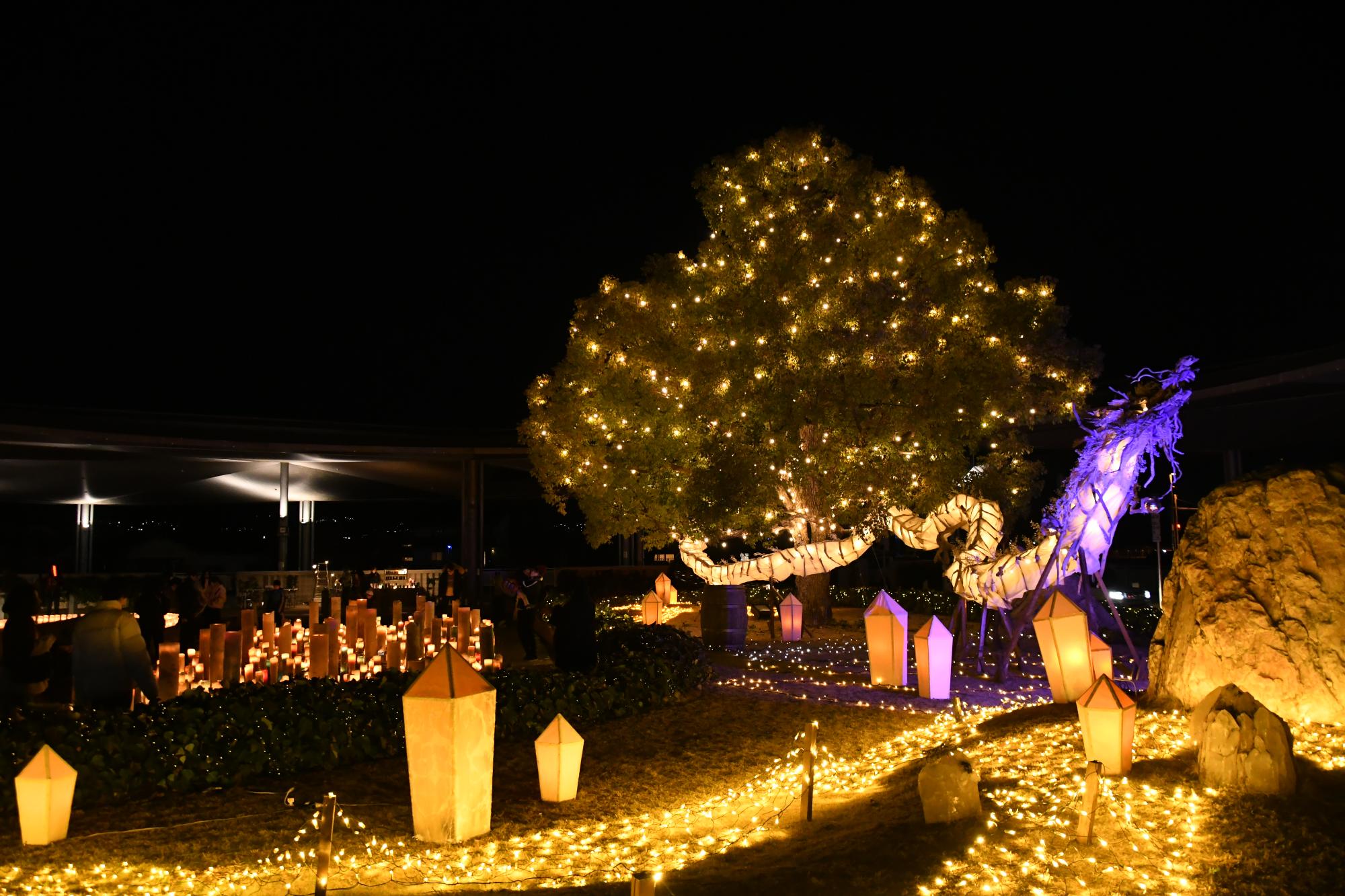 「DRAGON NIGHT～光る竜王灯夜～」開催