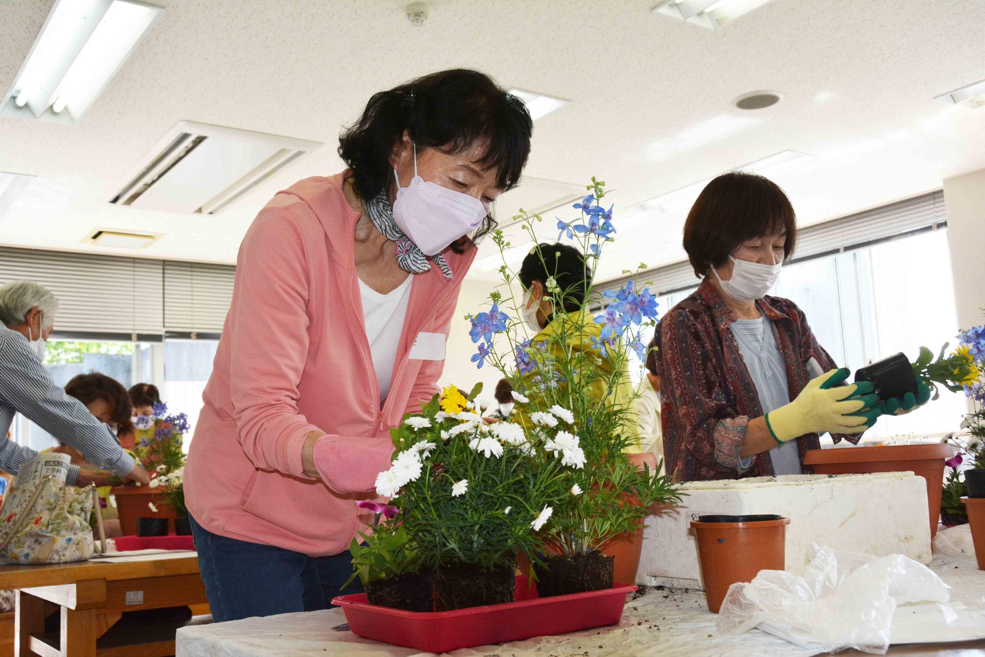 20220430寄せ植え教室