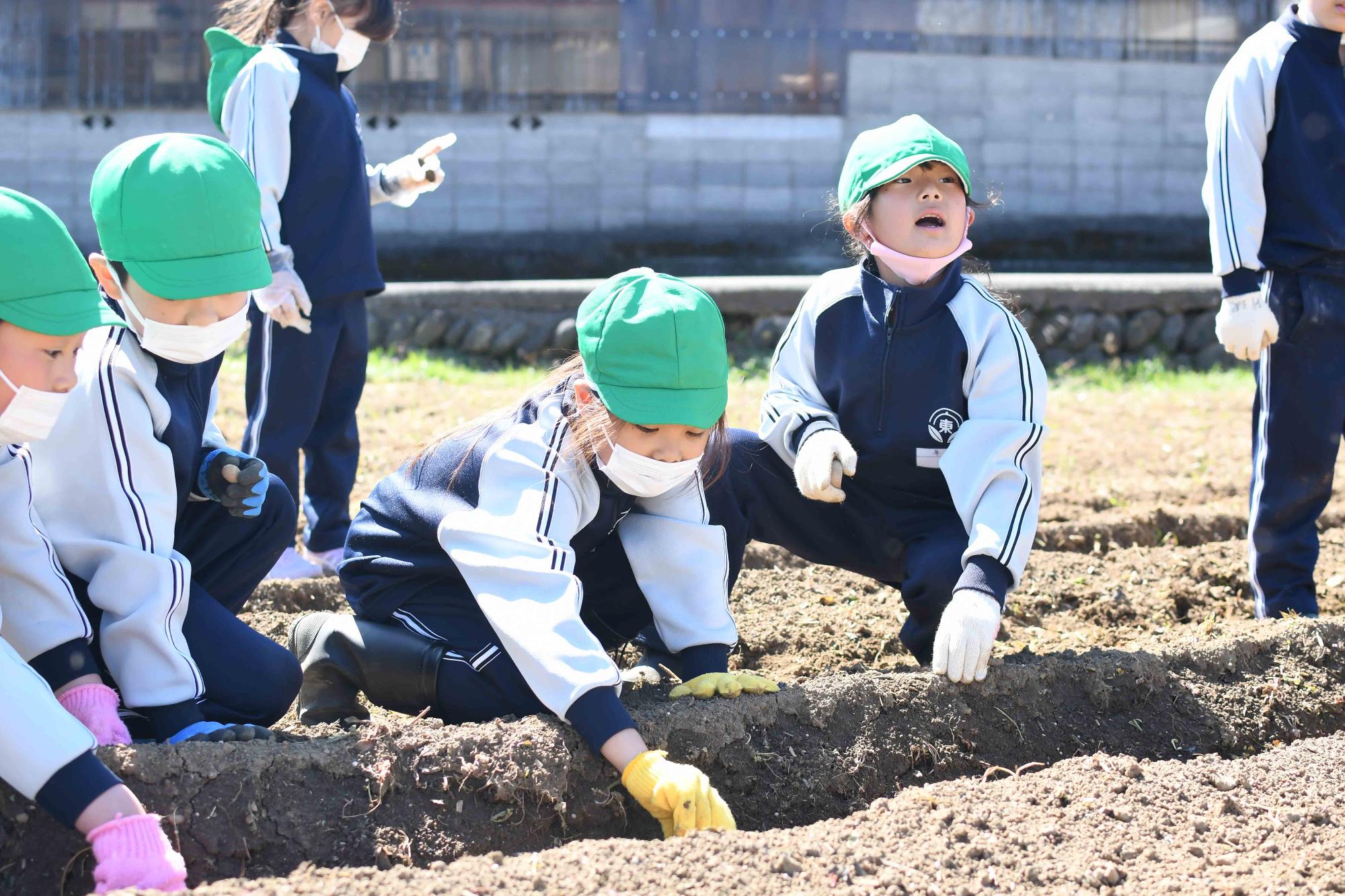 20230320双葉東小学校じゃがいも植え体験