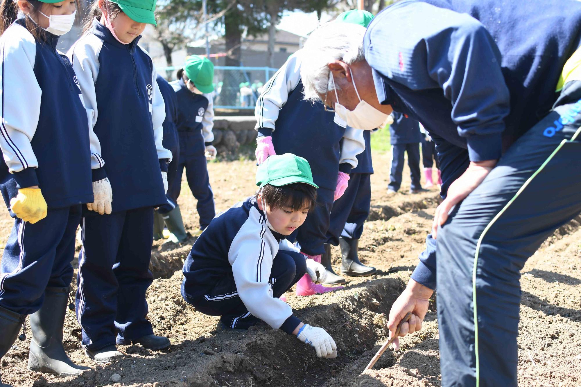 20230320双葉東小学校じゃがいも植え体験